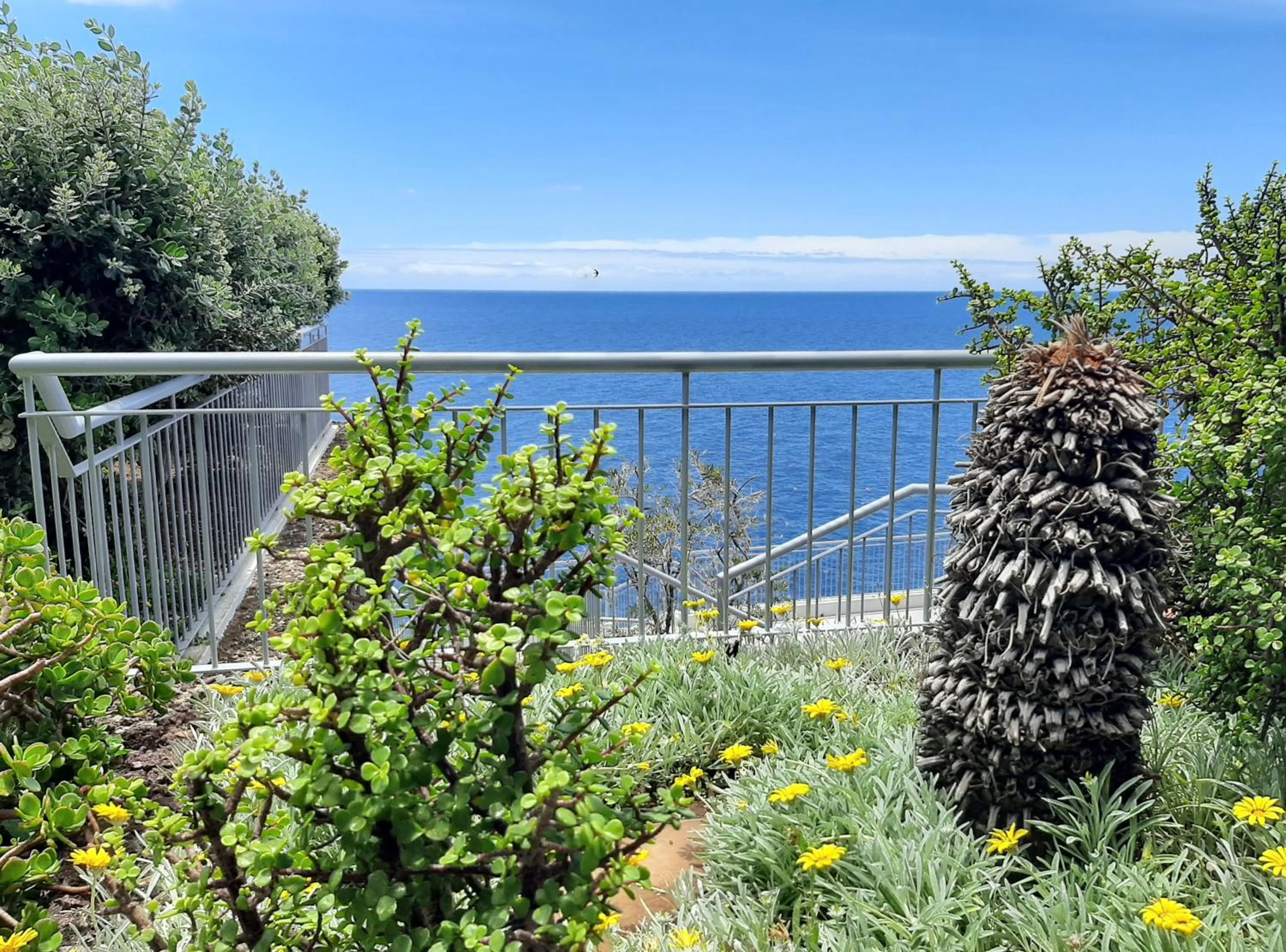 Garden in Hotel Roca Mar