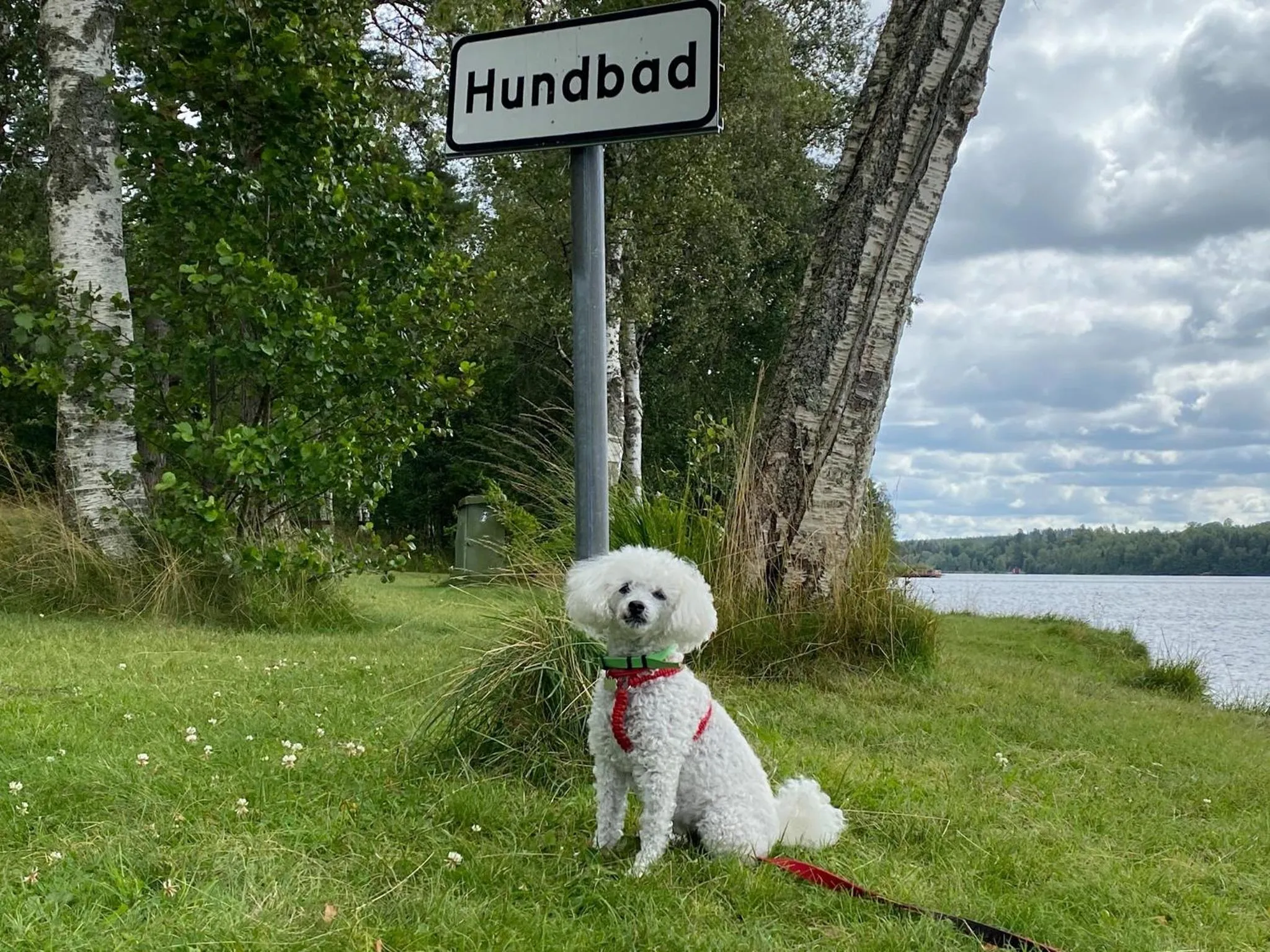 Vimmerby Camping