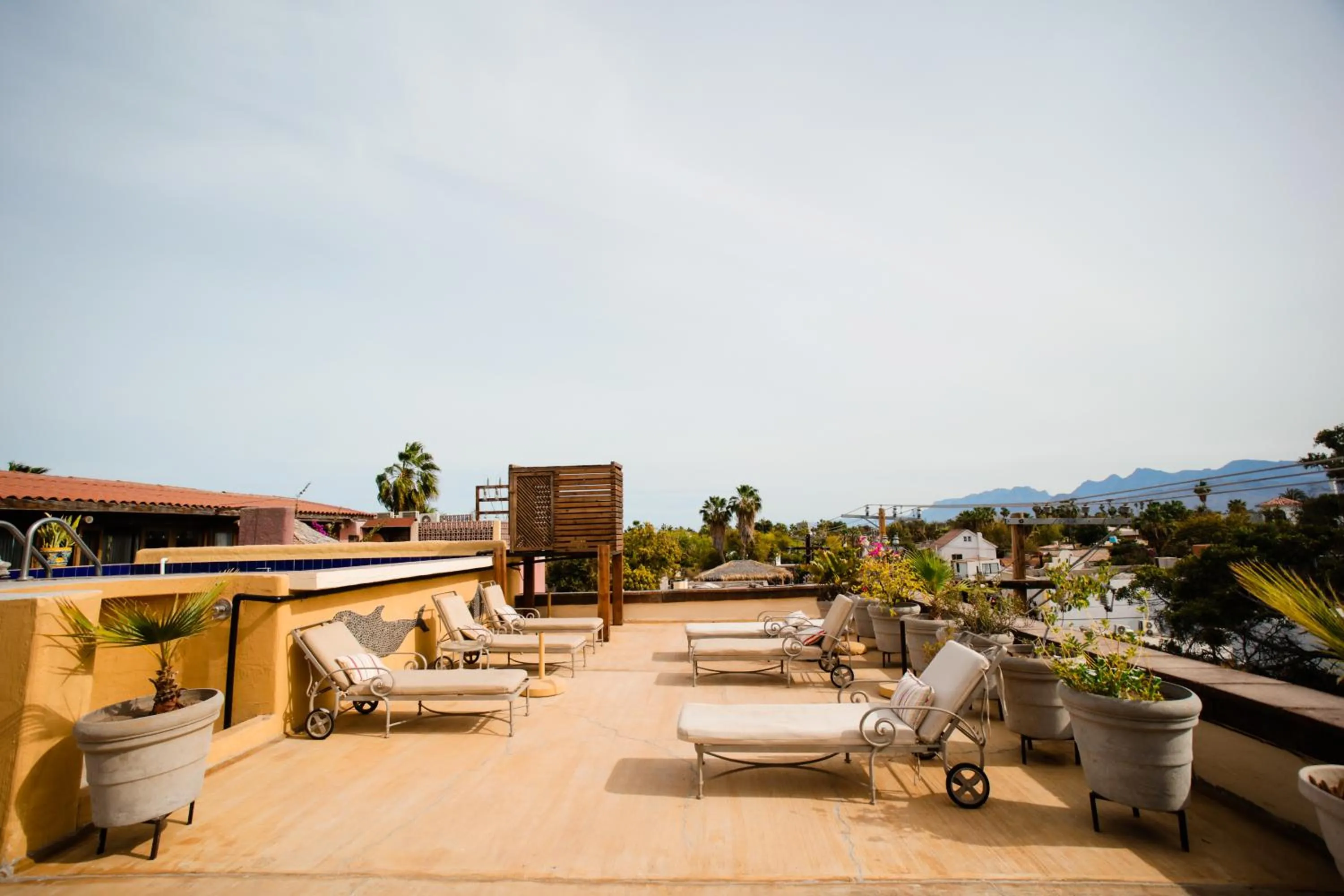 Restaurant/places to eat in Hotel Boutique Posada De Las Flores Loreto