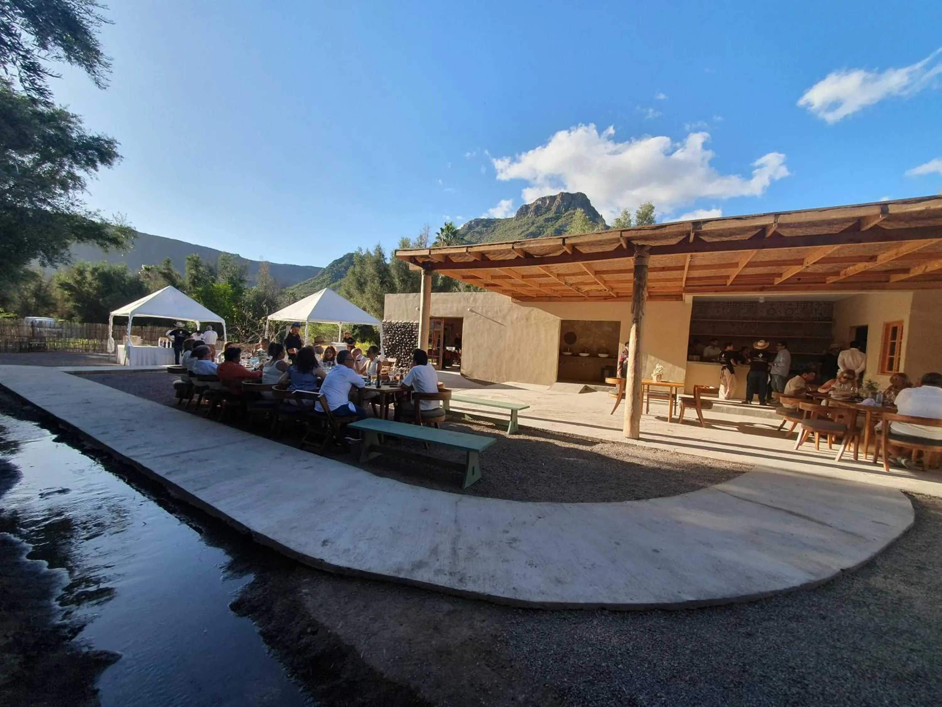 Restaurant/places to eat in Hotel Boutique Posada De Las Flores Loreto Restaurant/places to eat in Hotel Boutique Posada De Las Flores Loreto