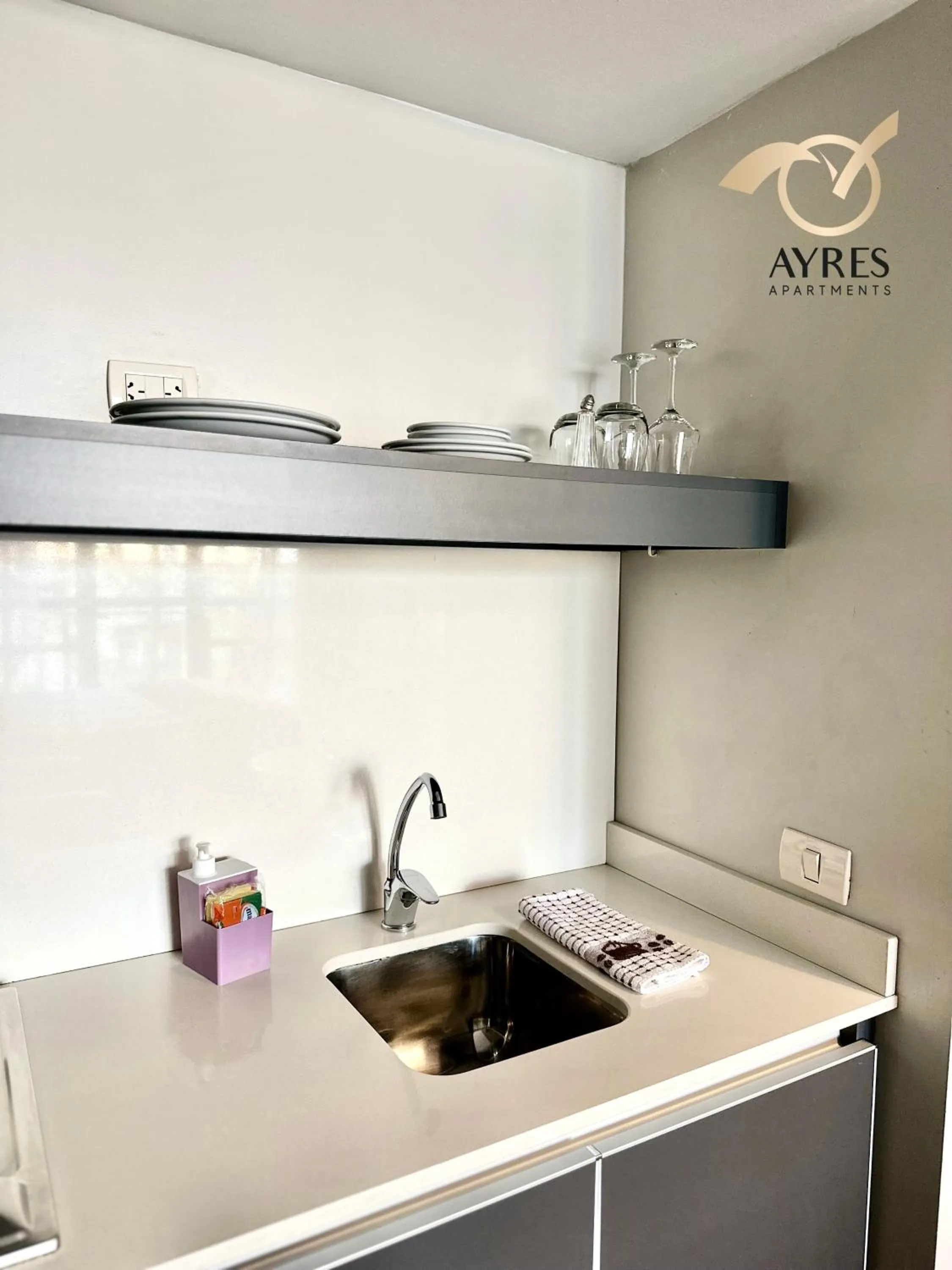 kitchen in Ayres Apartments Palermo
