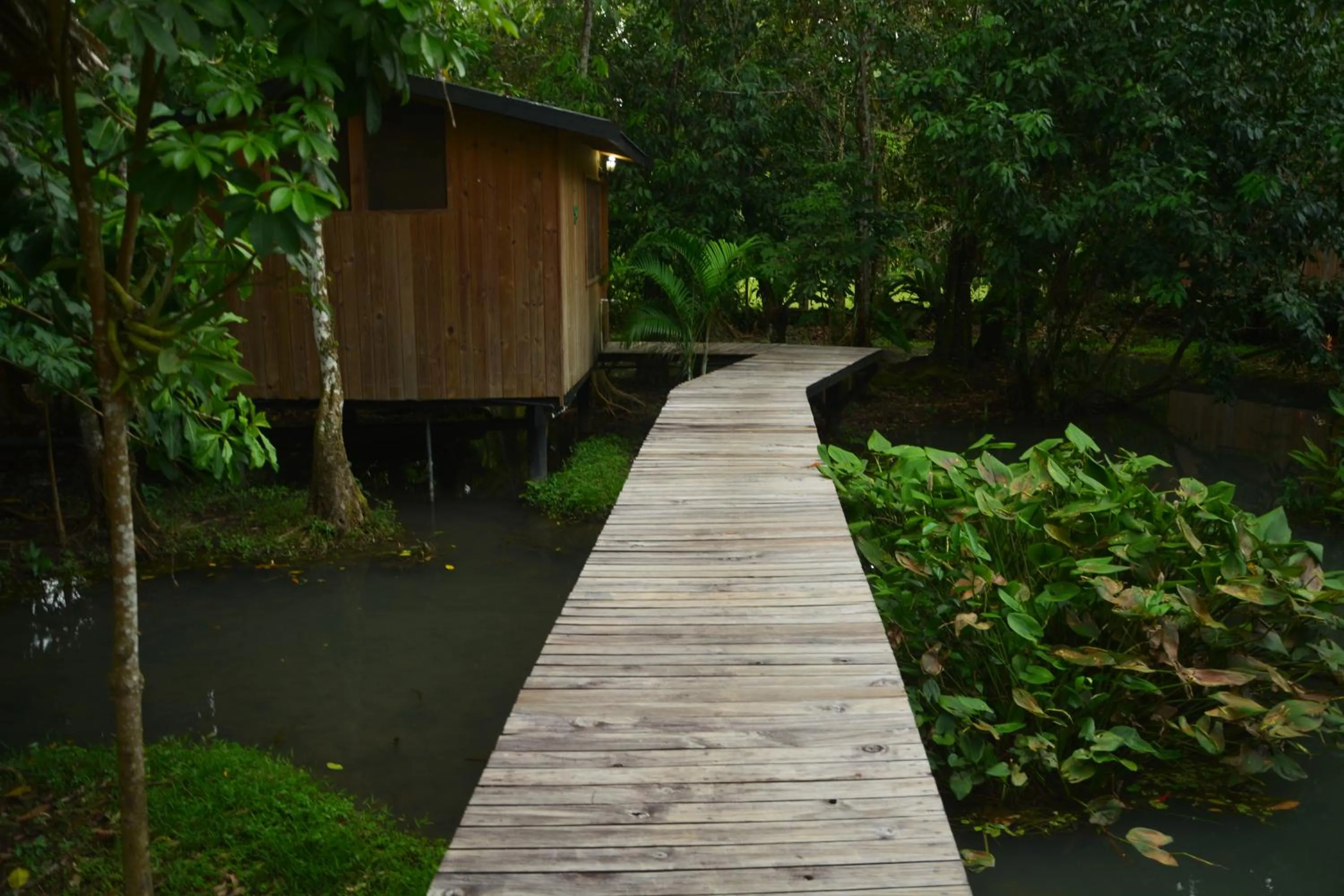 Double Room with Private Bathroom - single occupancy in Hotel Kangaroo y Restaurante