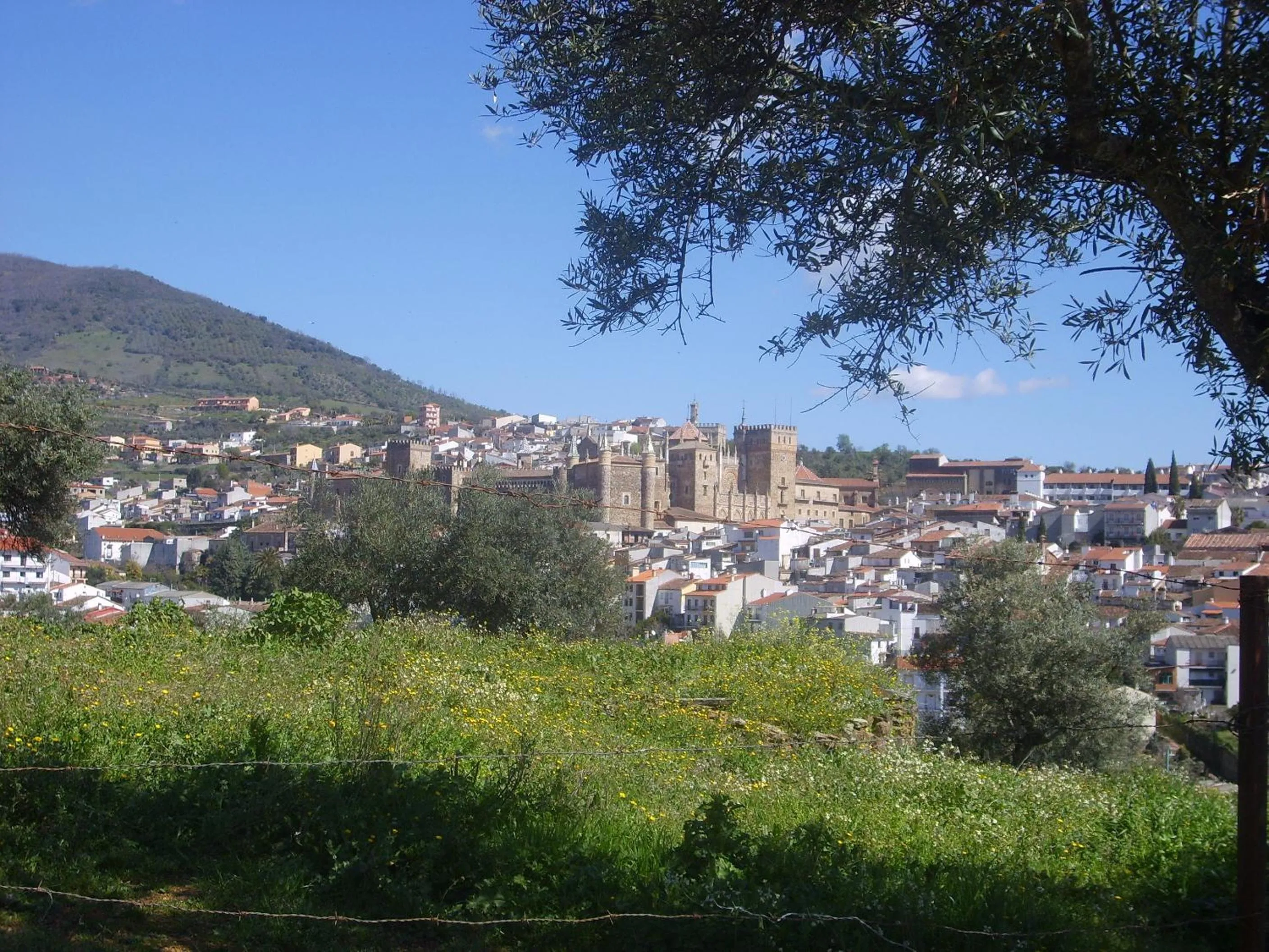 Area and facilities in Hotel Hispanidad