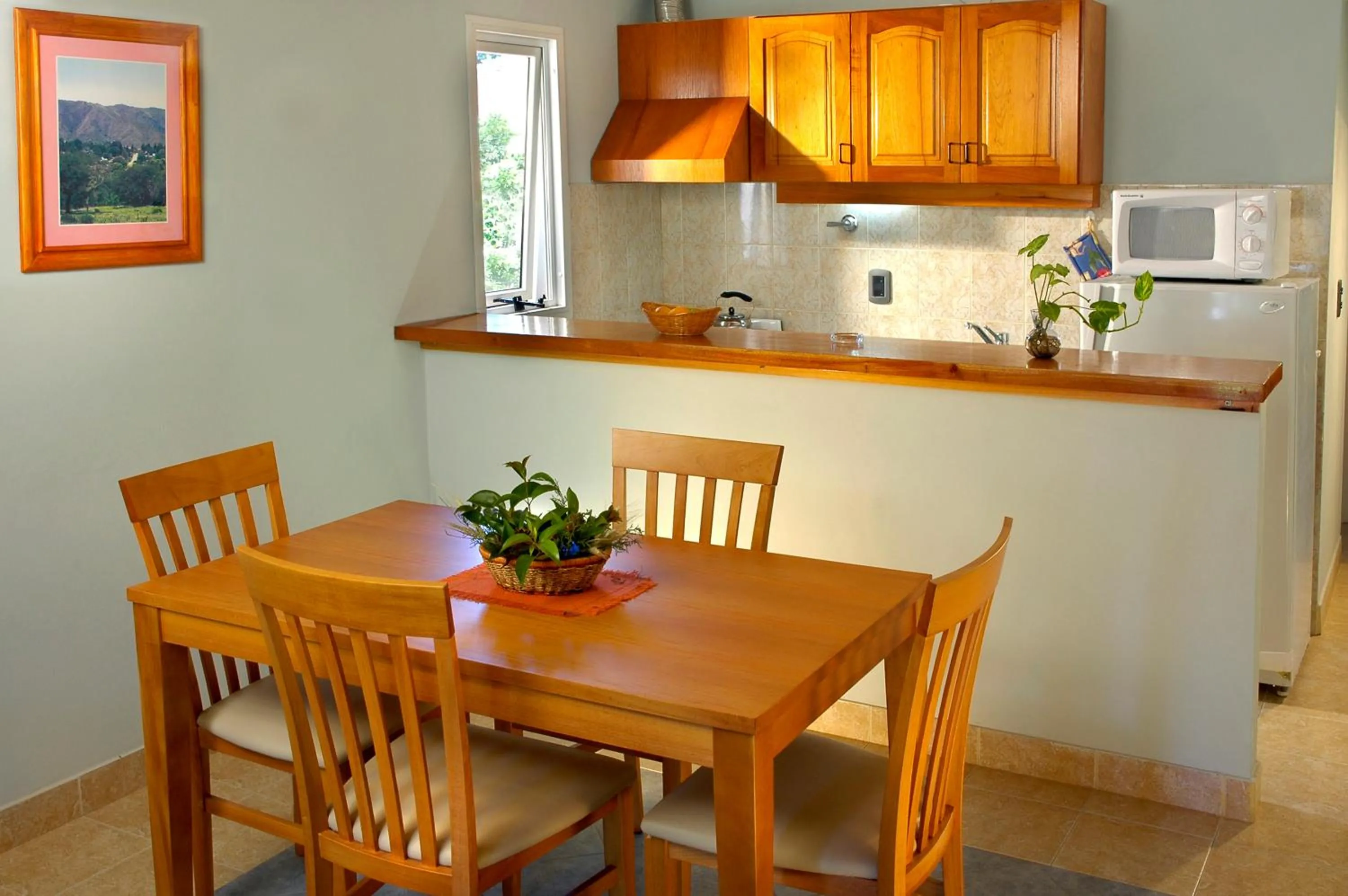 Kitchen or kitchenette in Candy Apart Hotel