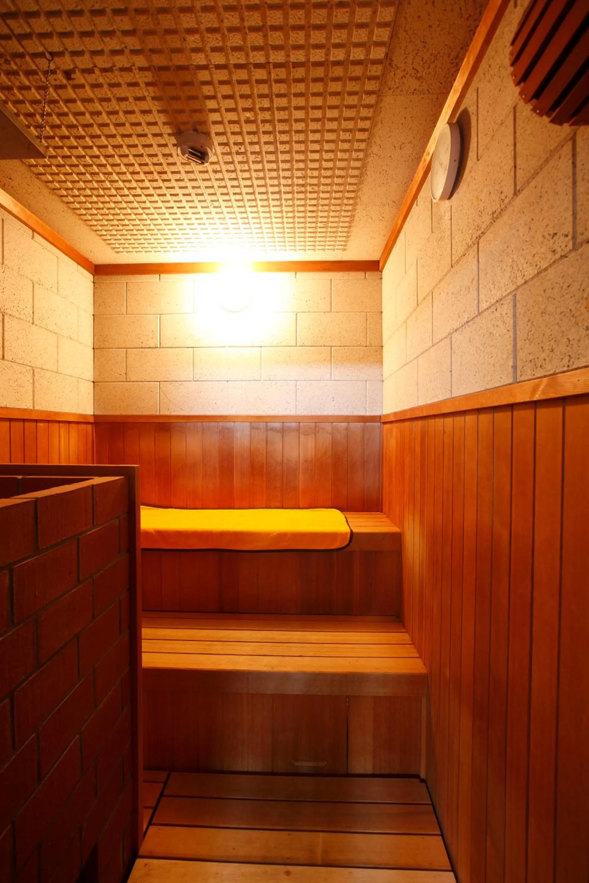Sauna in Hotel Ubudo