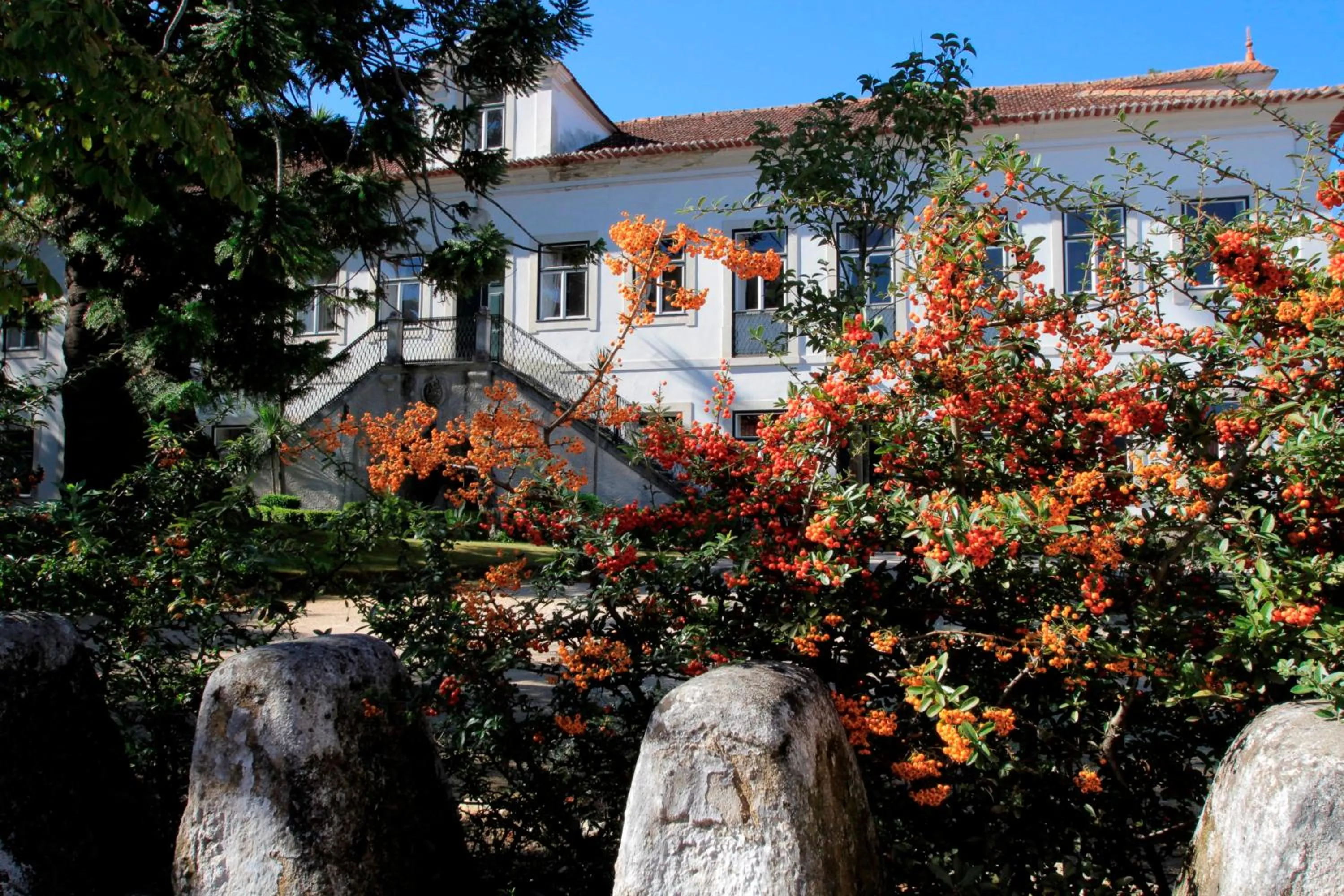 Facade/entrance in Casa de Mogofores
