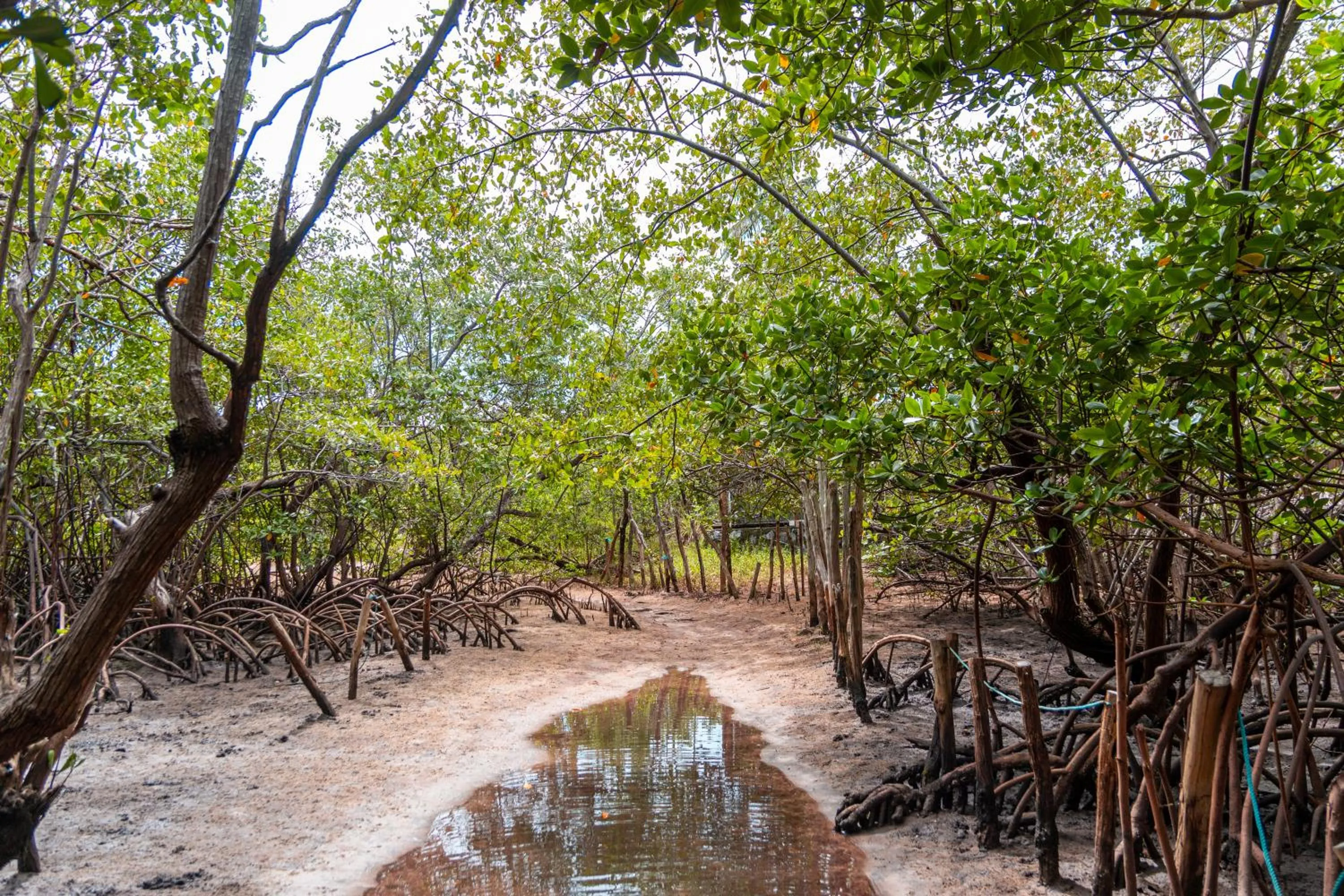 Nearby landmark in Pousada La Bella Luna