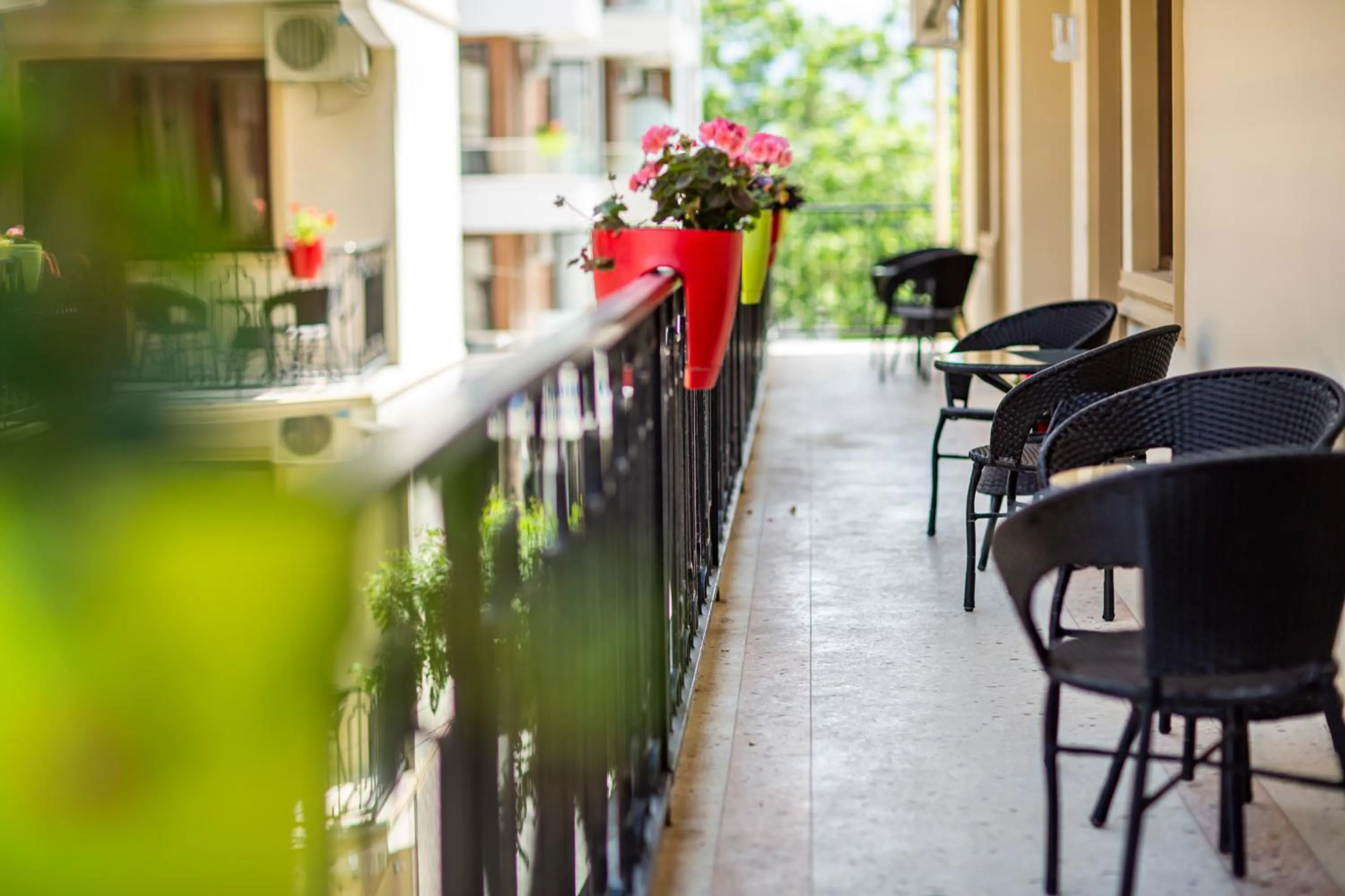 Balcony/Terrace in Hotel Chveni Ezo