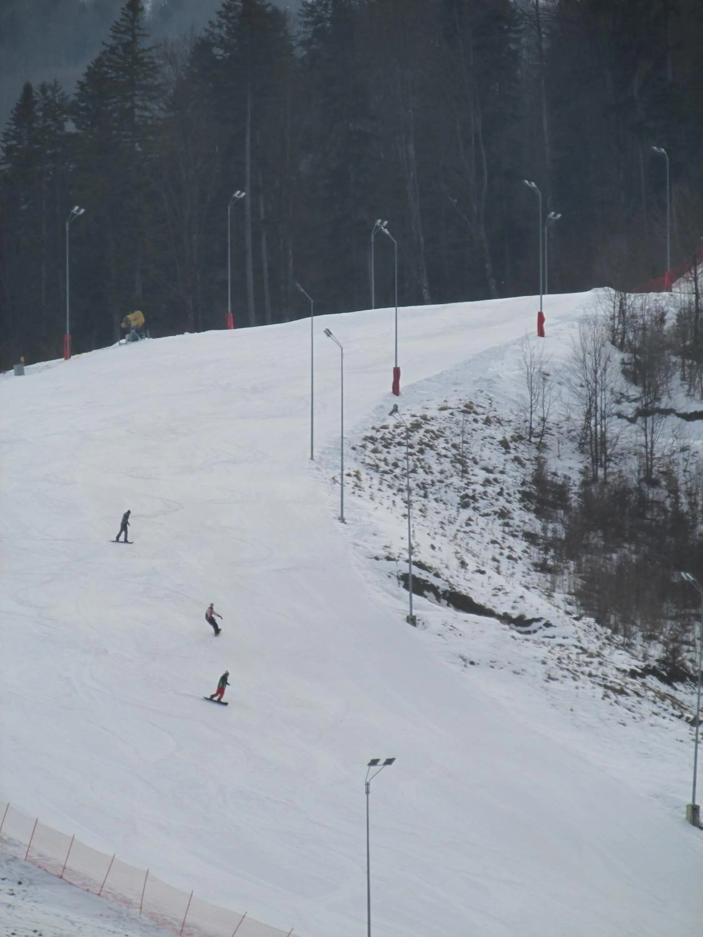 Skiing in Hotel Best Western Bucovina