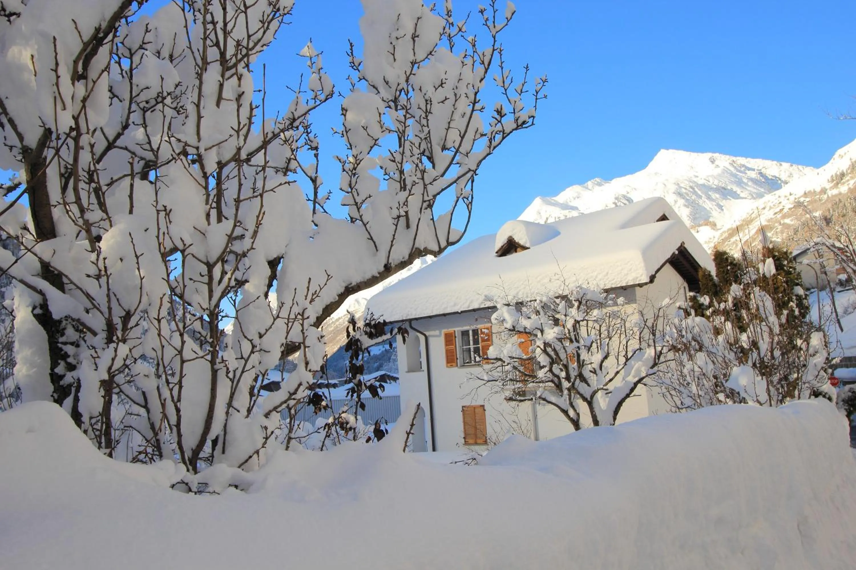 Garden view in Chalet Cuore delle Alpi