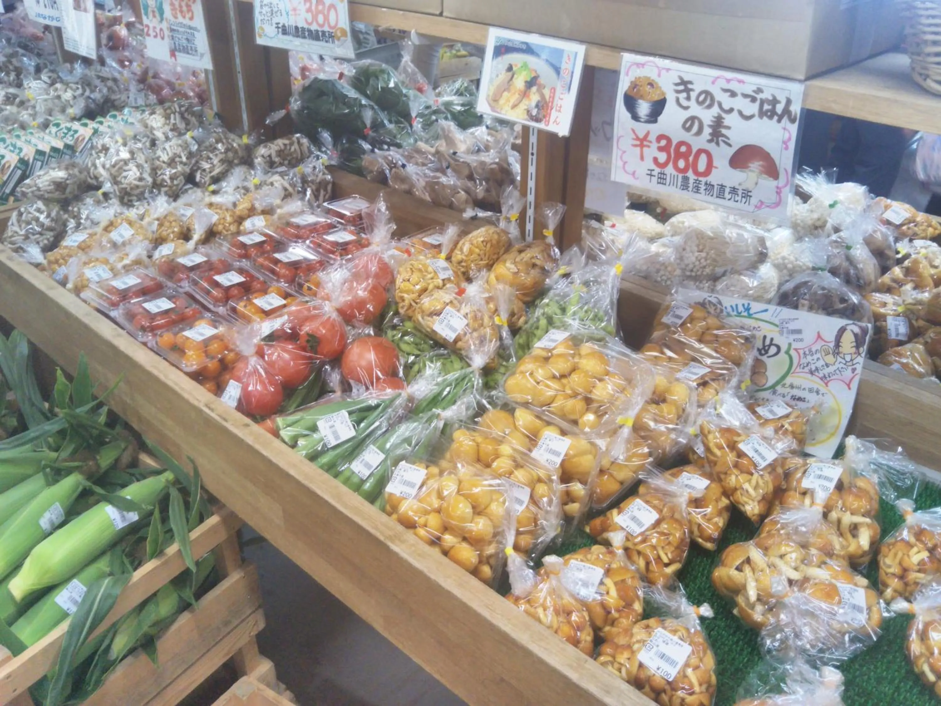 Other in Guest House Hostel yukuru