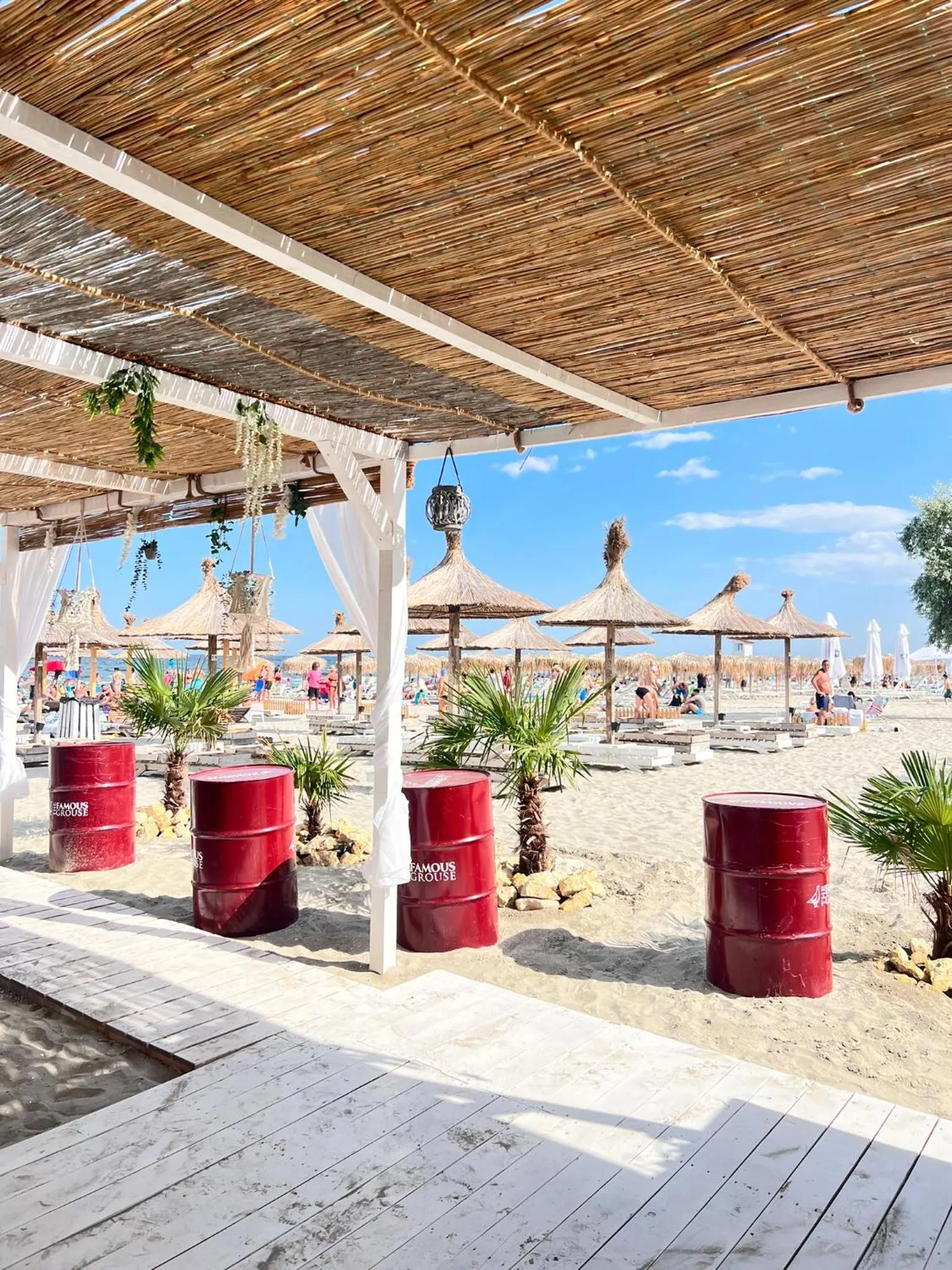 Beach in Hotel Manor