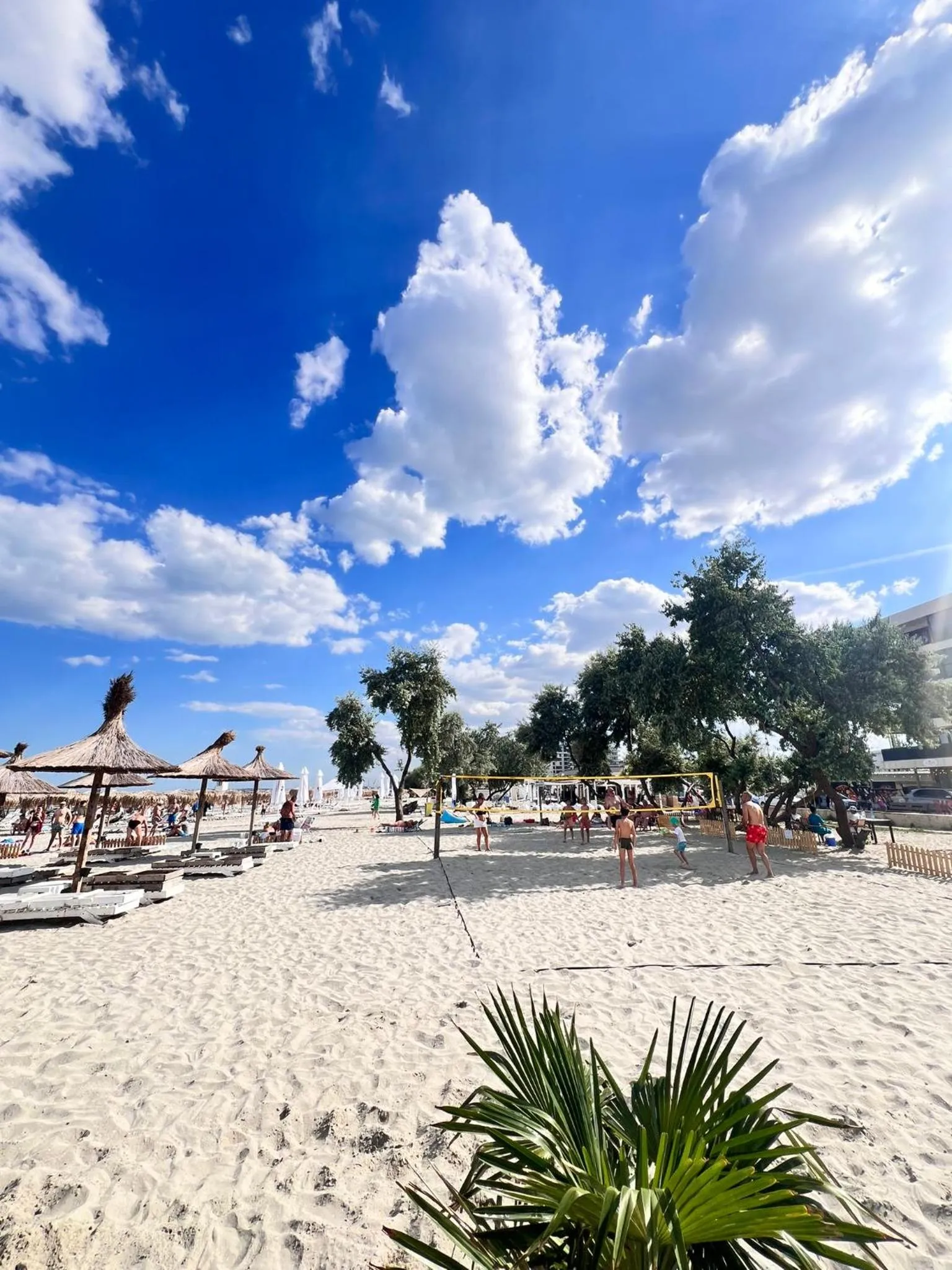 Beach in Hotel Manor
