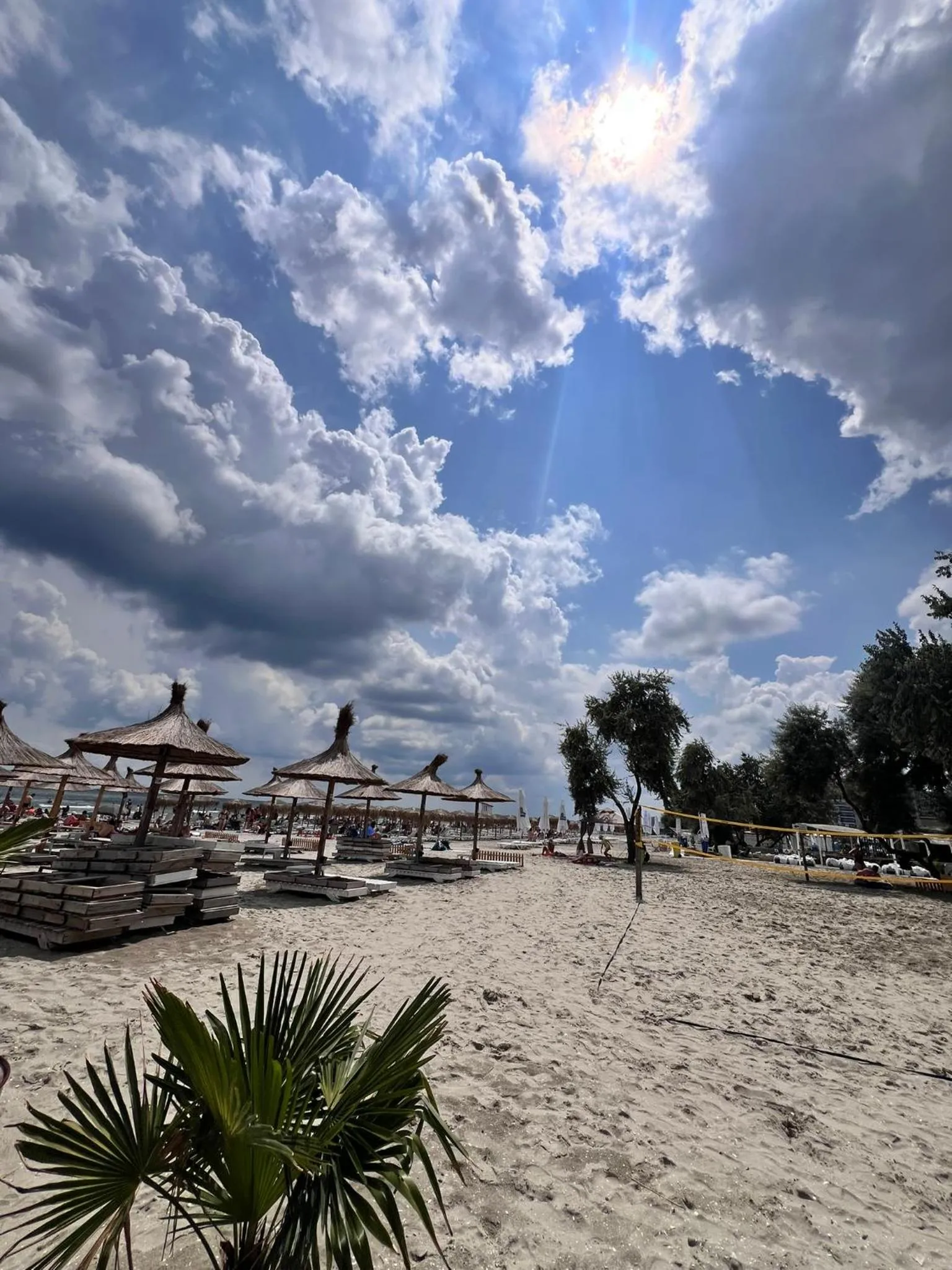 Beach in Hotel Manor