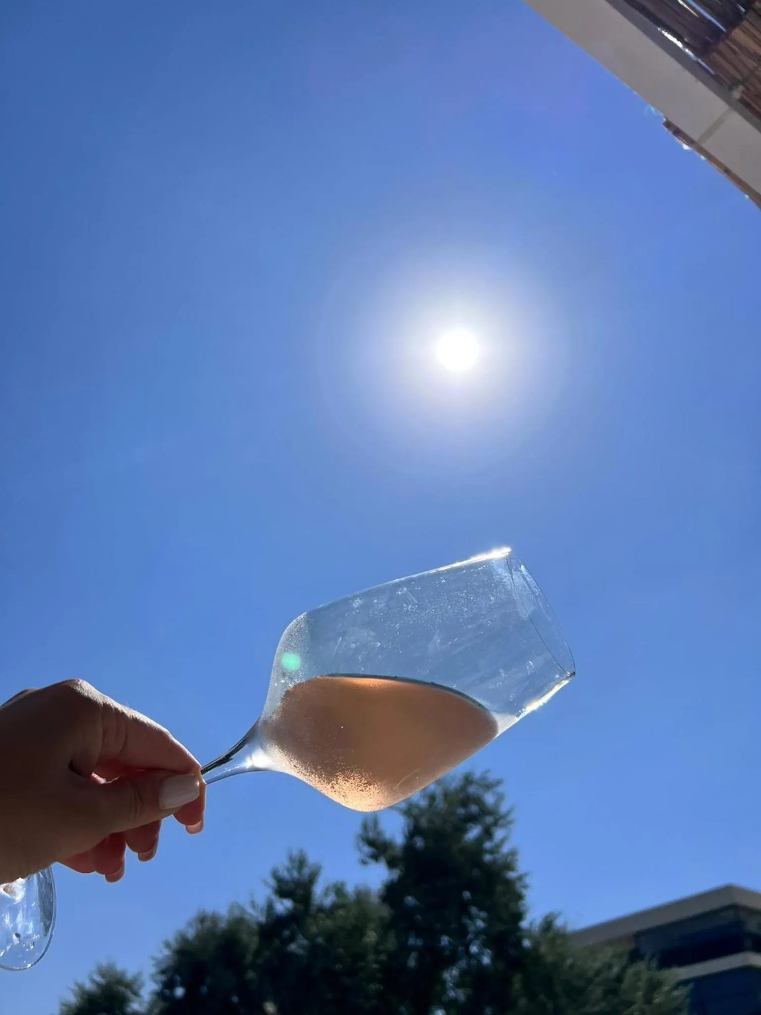 Drinks in Hotel Manor