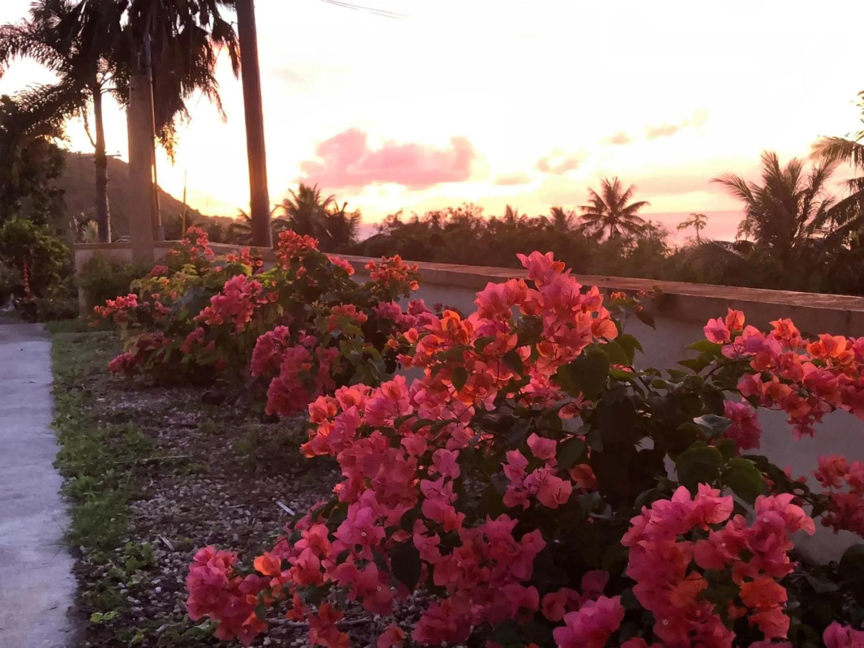 Garden in Saipan Emerald Villa