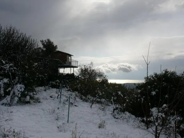 Switzerland In Amirim