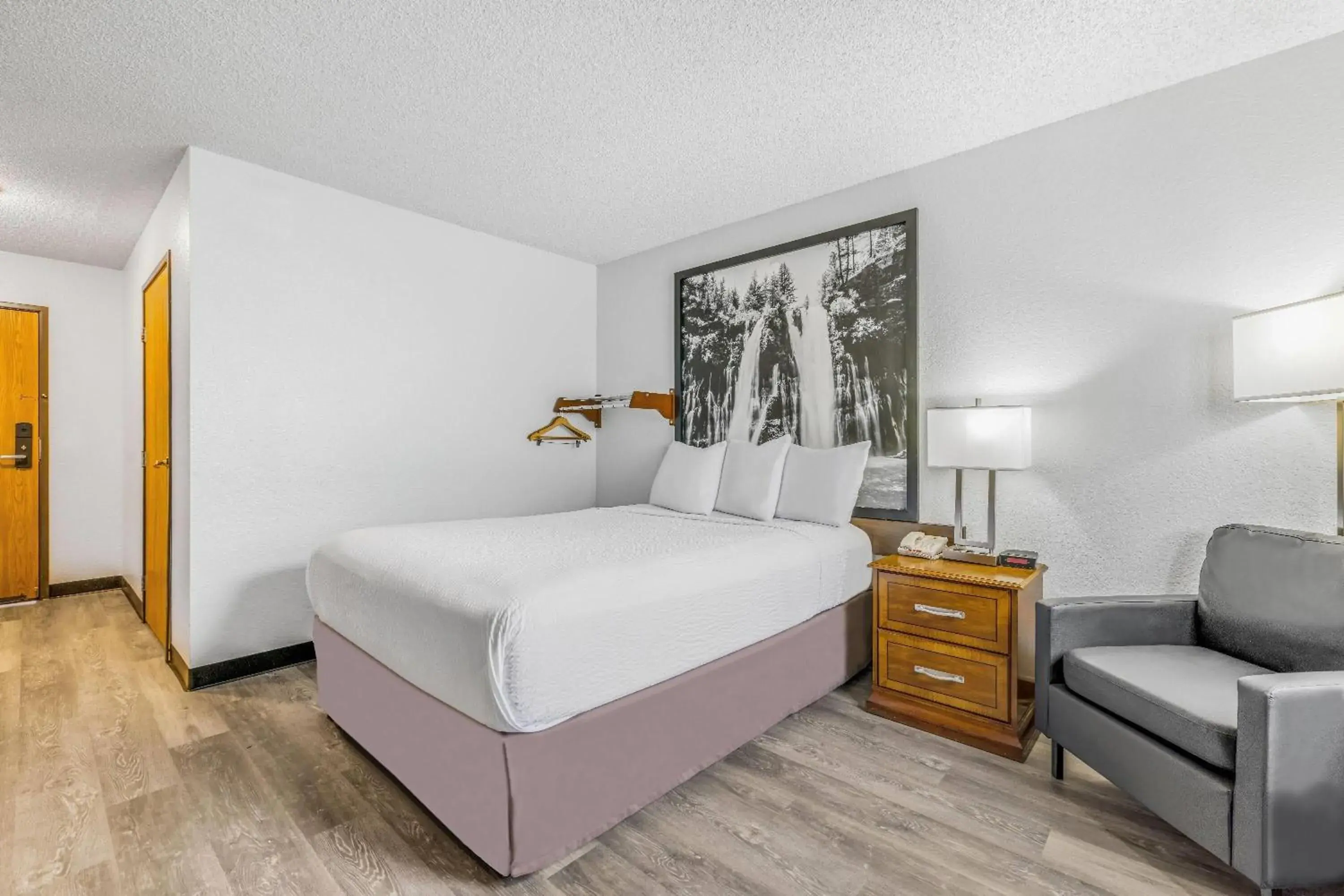 Photo of the whole room, Bed in Super 8 by Wyndham Arcata Photo of the whole room, Bed in Super 8 by Wyndham Arcata