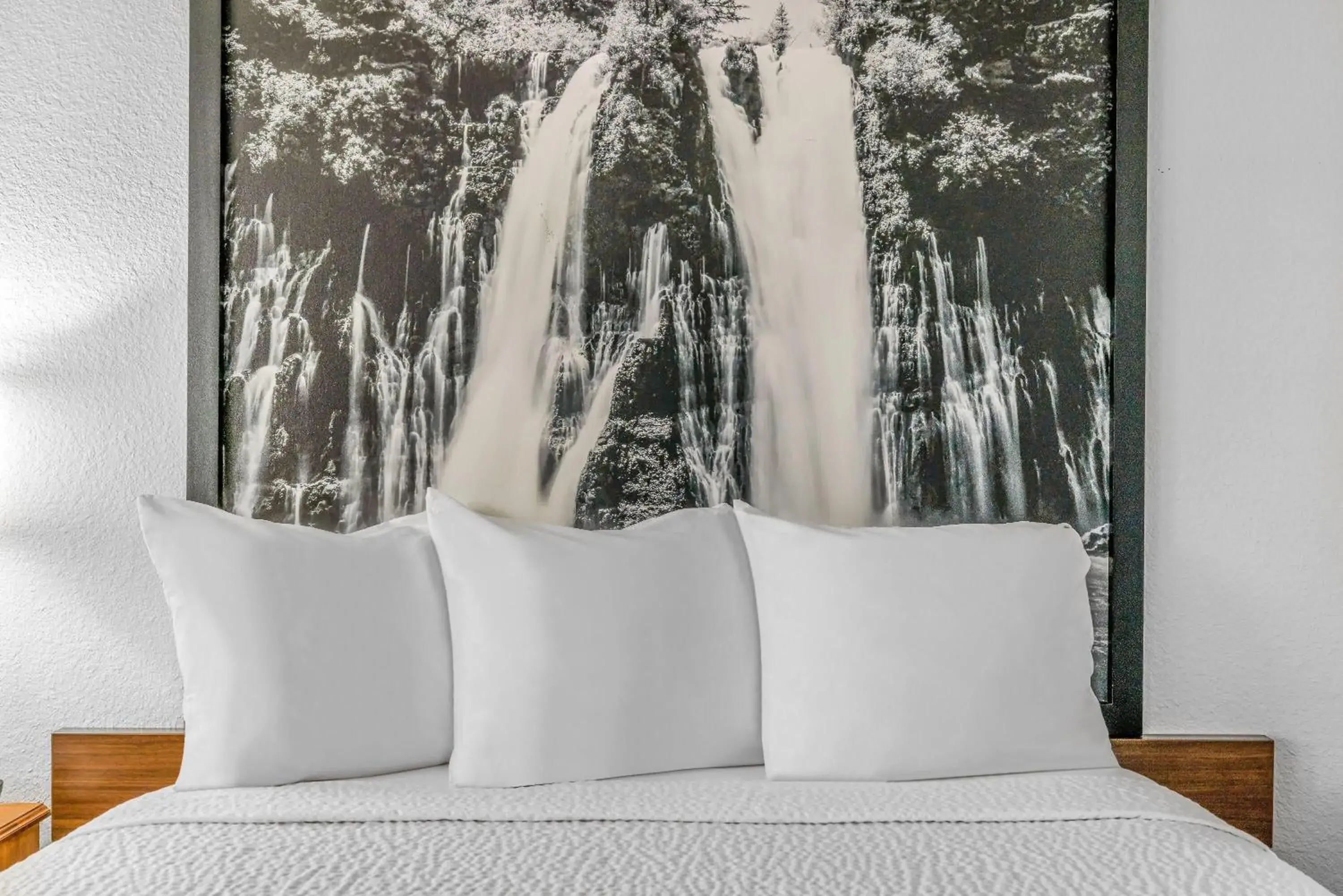 Bed in Super 8 by Wyndham Arcata Bed in Super 8 by Wyndham Arcata