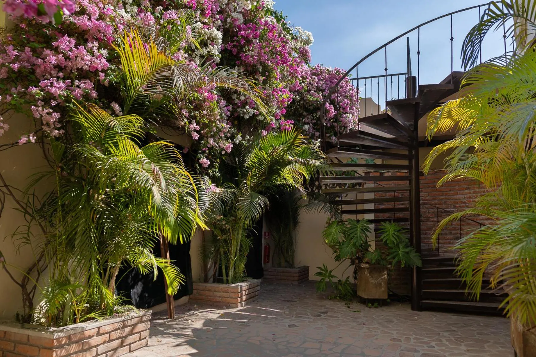 Off site in Posada de las Flores La Paz