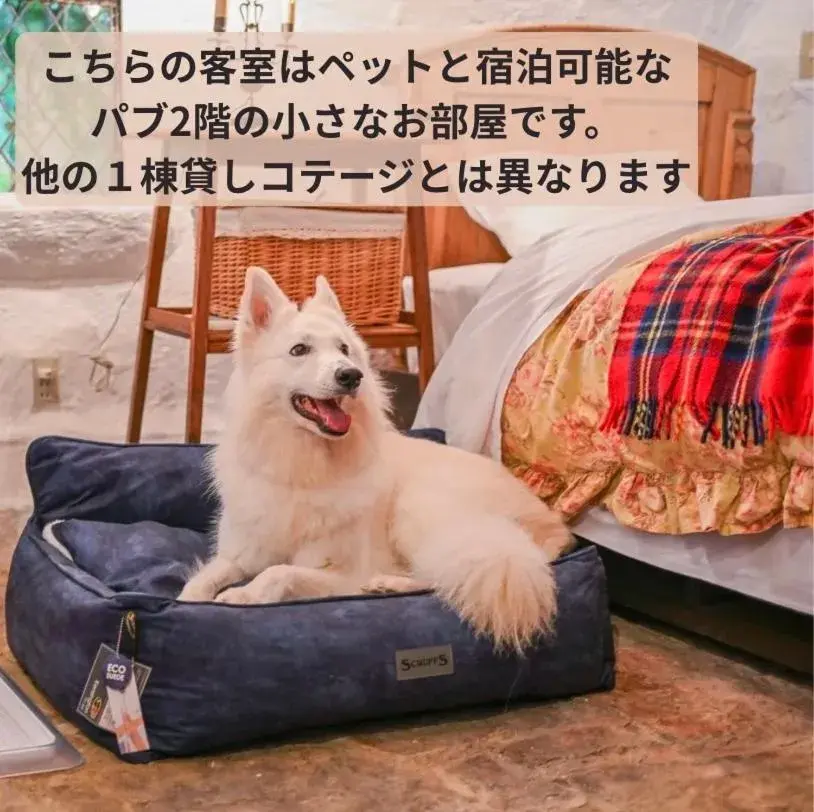 Economy Twin Room in Dreamton Village Economy Twin Room in Dreamton Village