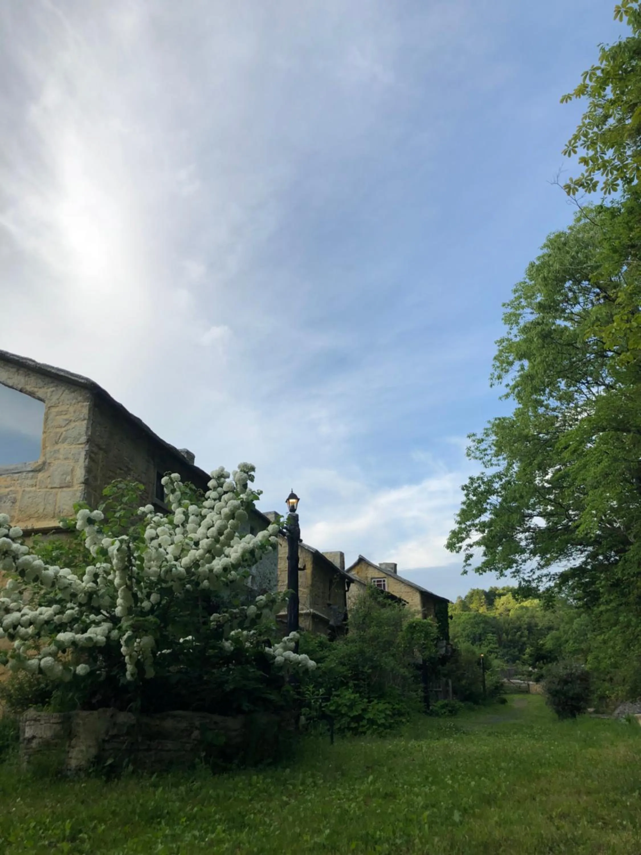 Garden in Dreamton Village