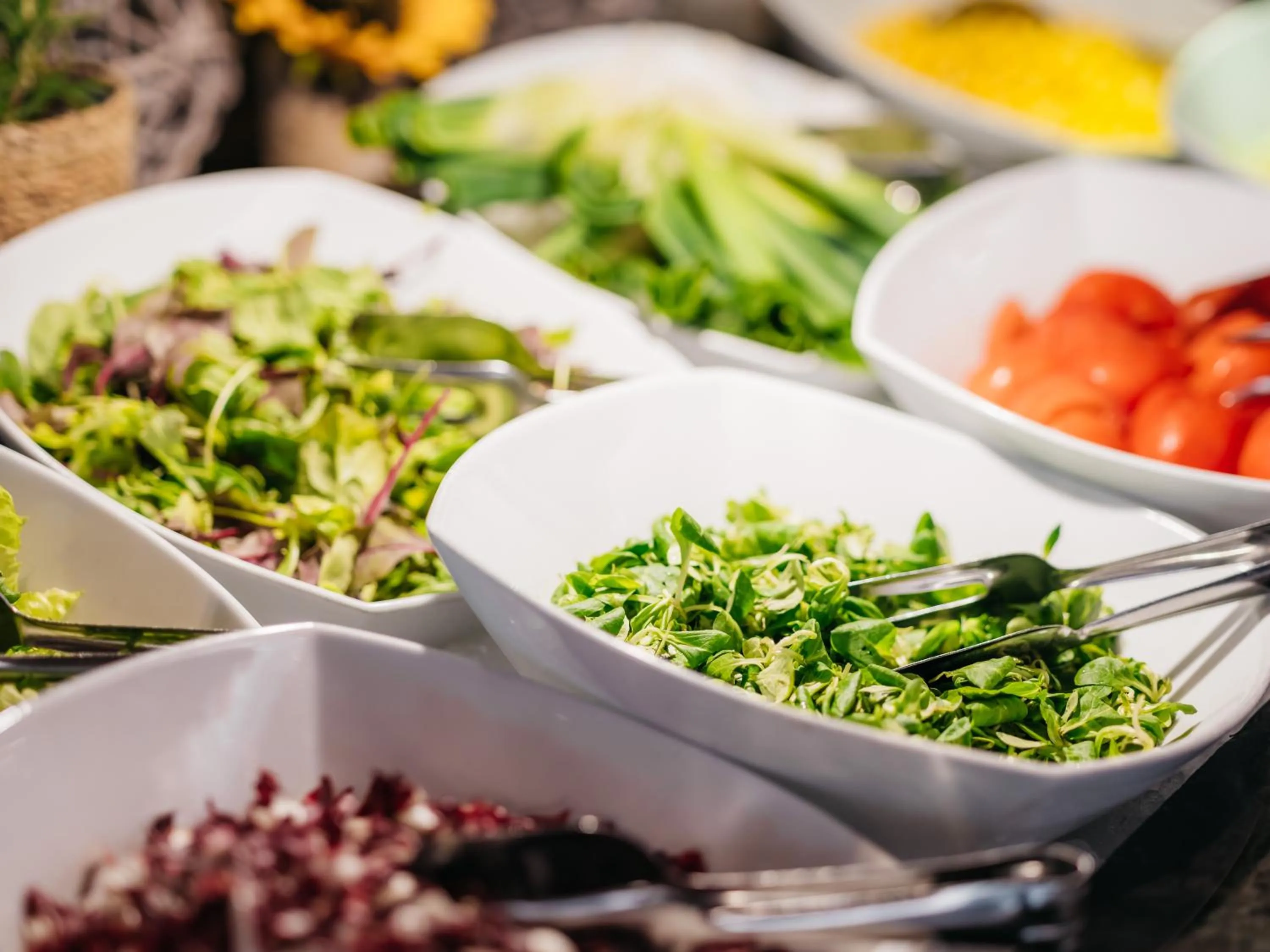 Dinner in Hotel Kristal - Terme Krka