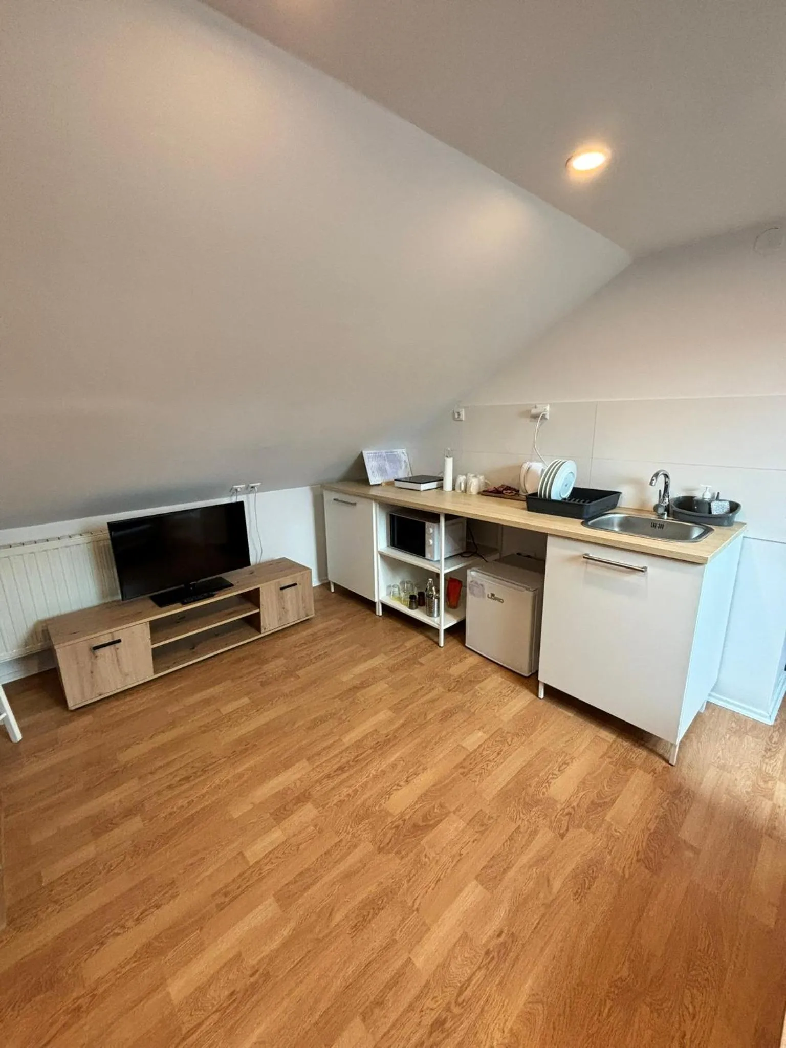 TV and multimedia in Hotel Pohorje