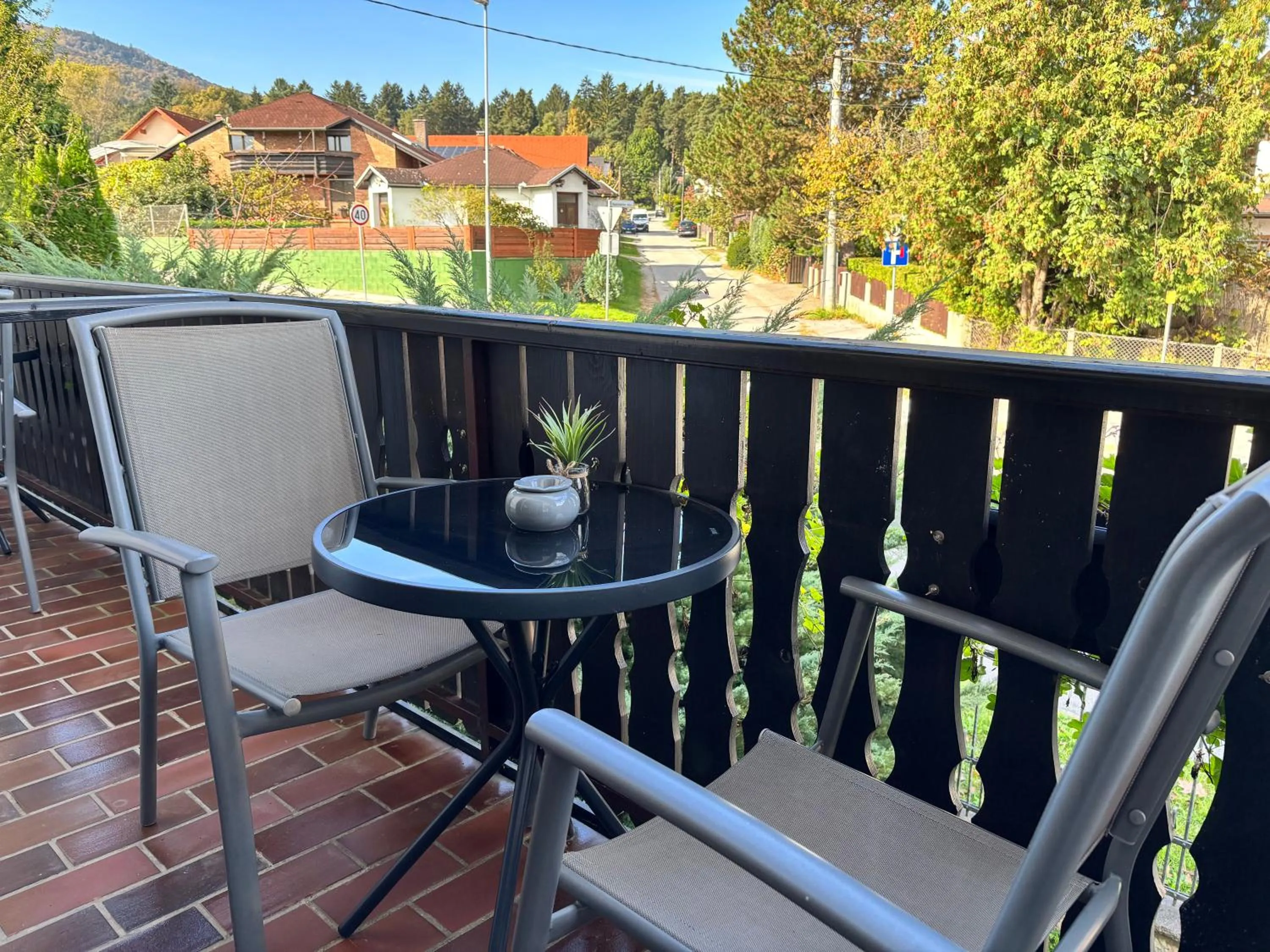 View (from property/room) in Hotel Pohorje