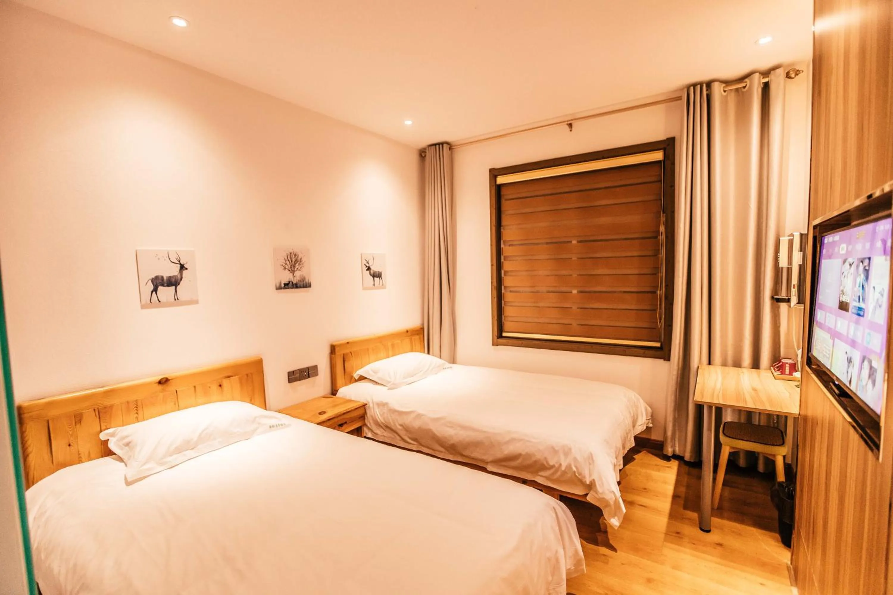 Bed in Qufu International Youth Hostel