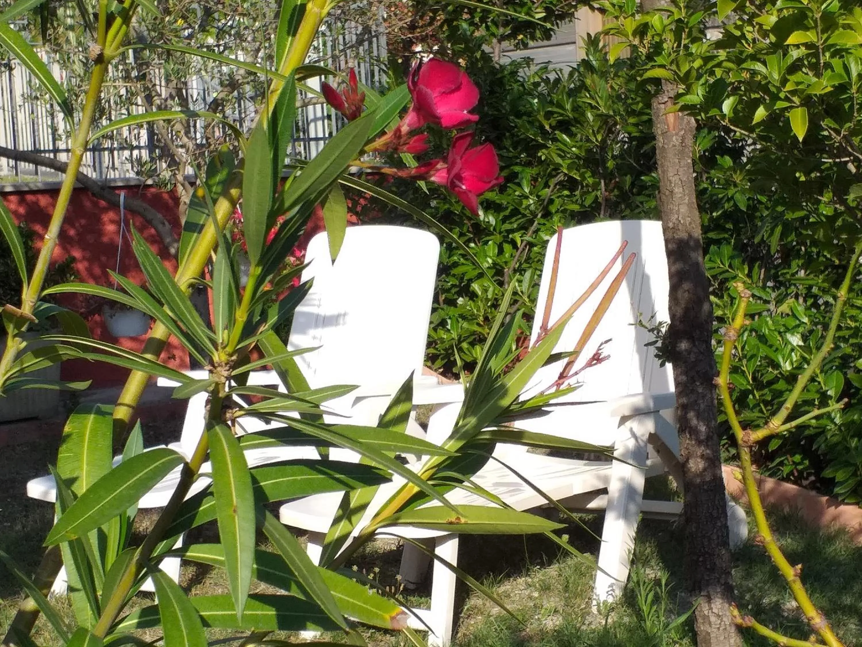 Garden in Bed & Breakfast La Rosa Rossa