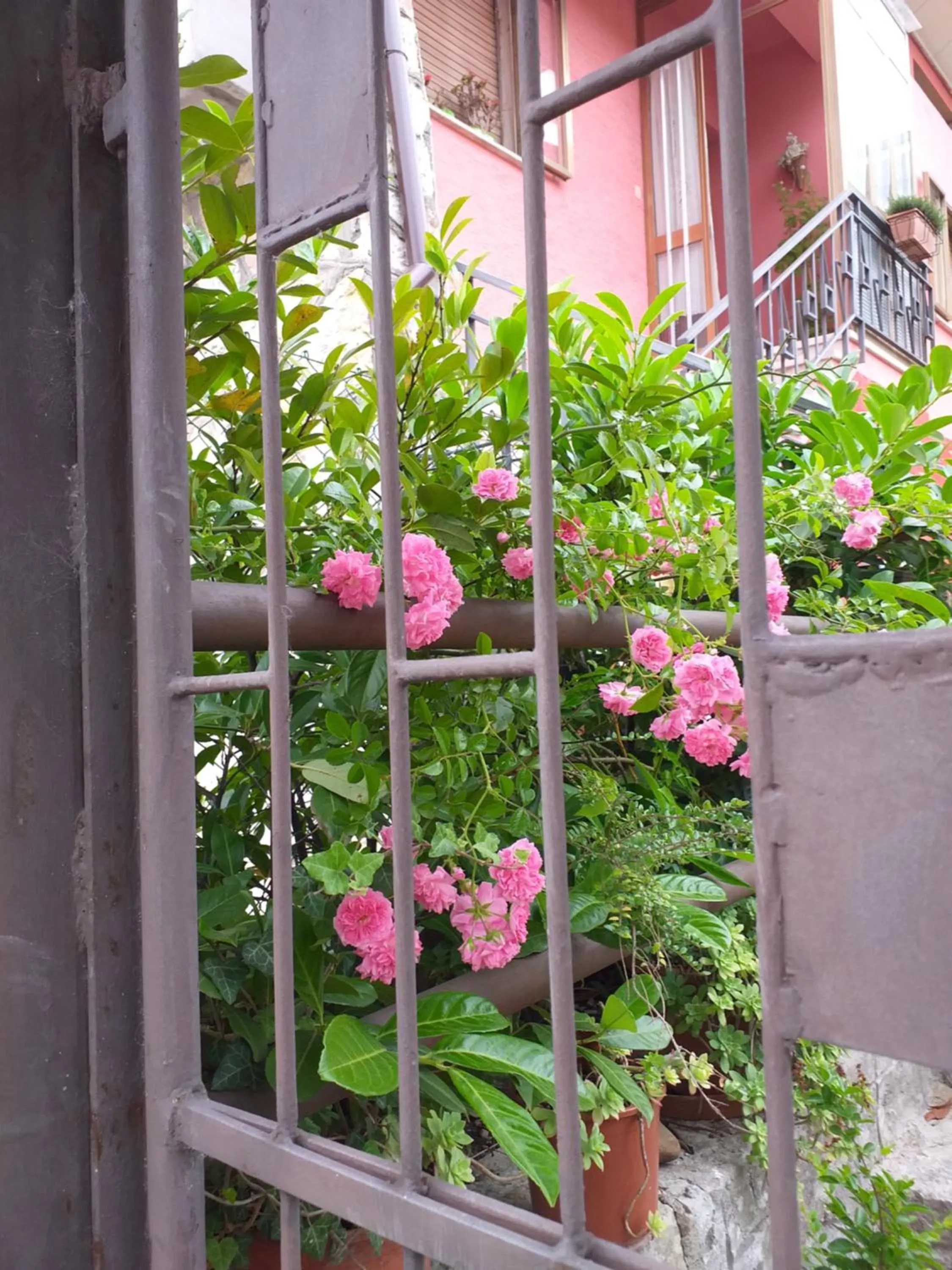 Garden in Bed & Breakfast La Rosa Rossa