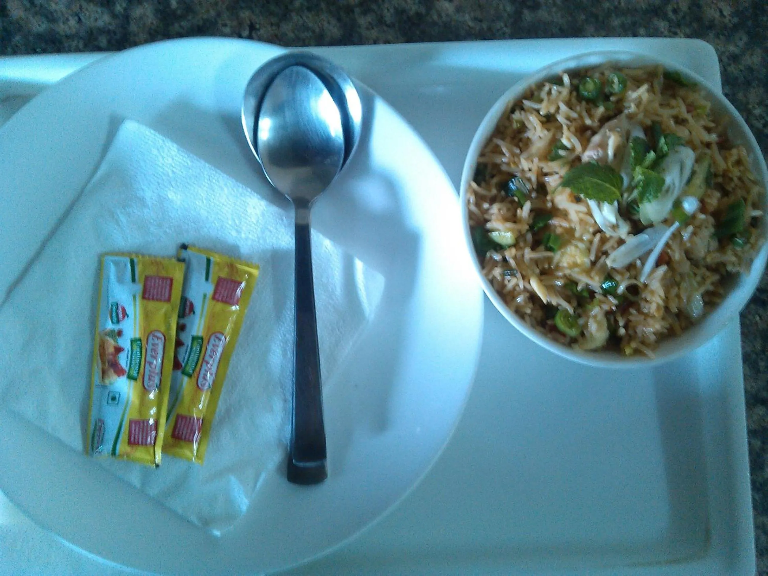 Food in Indira International Inn