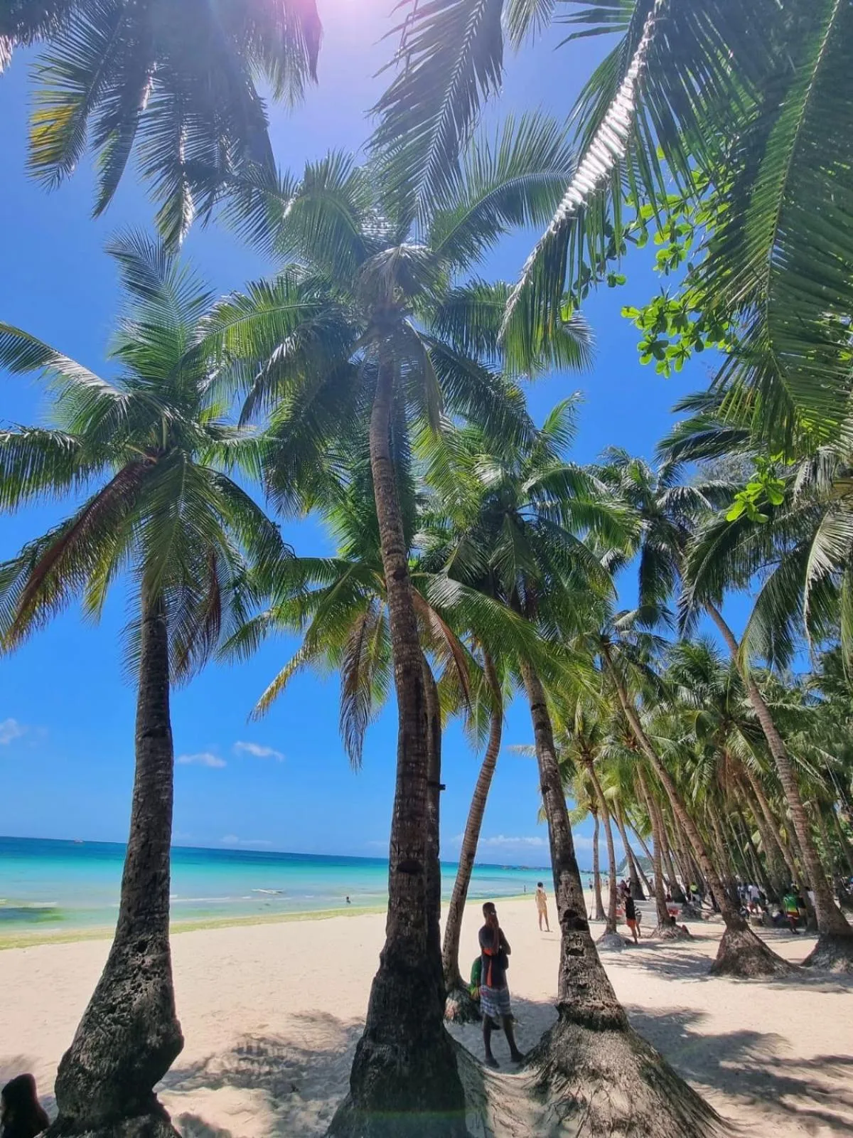 Beach in Nirvana Beach Resort