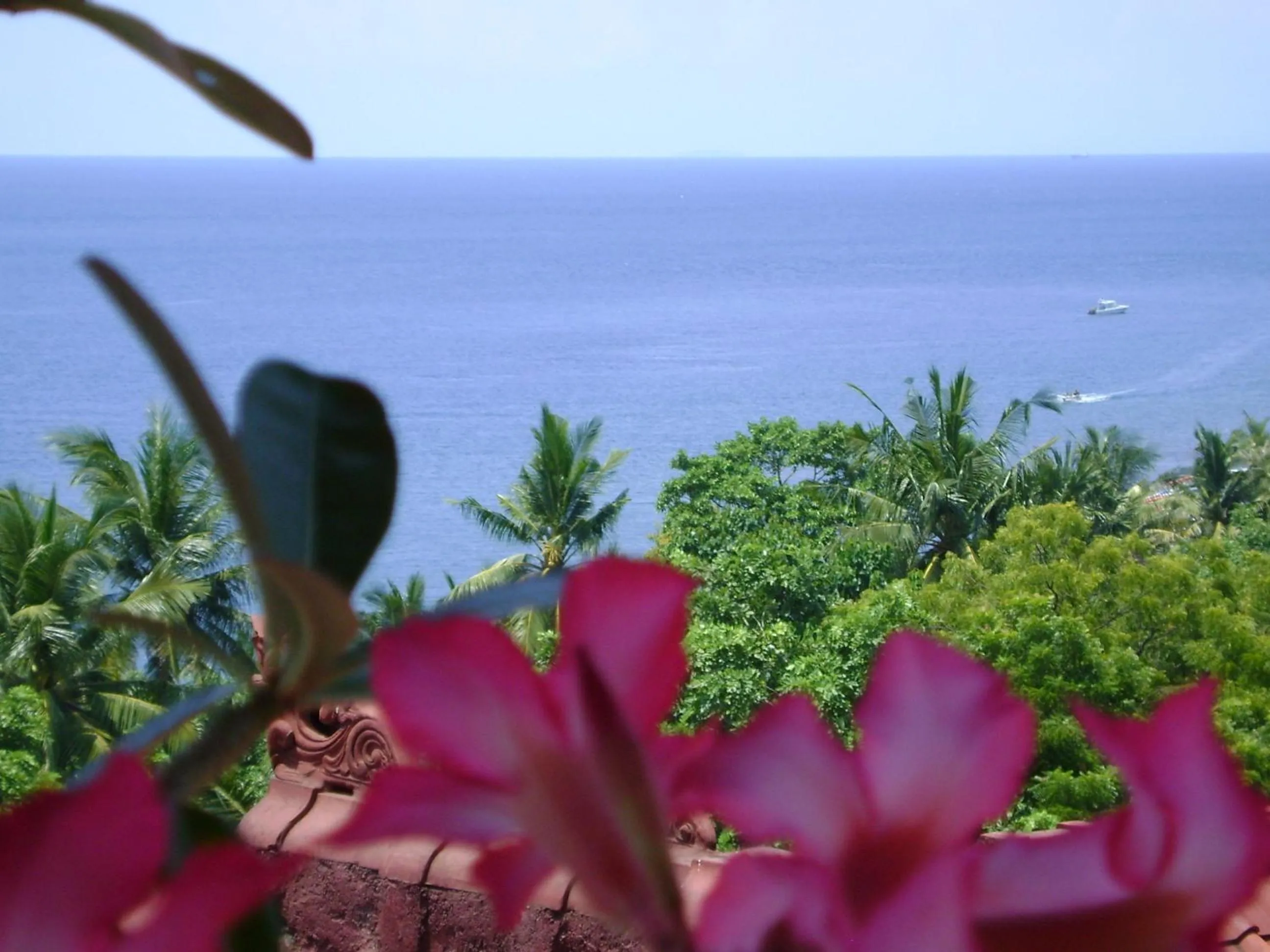 Natural landscape in Bukit Indah Homestay