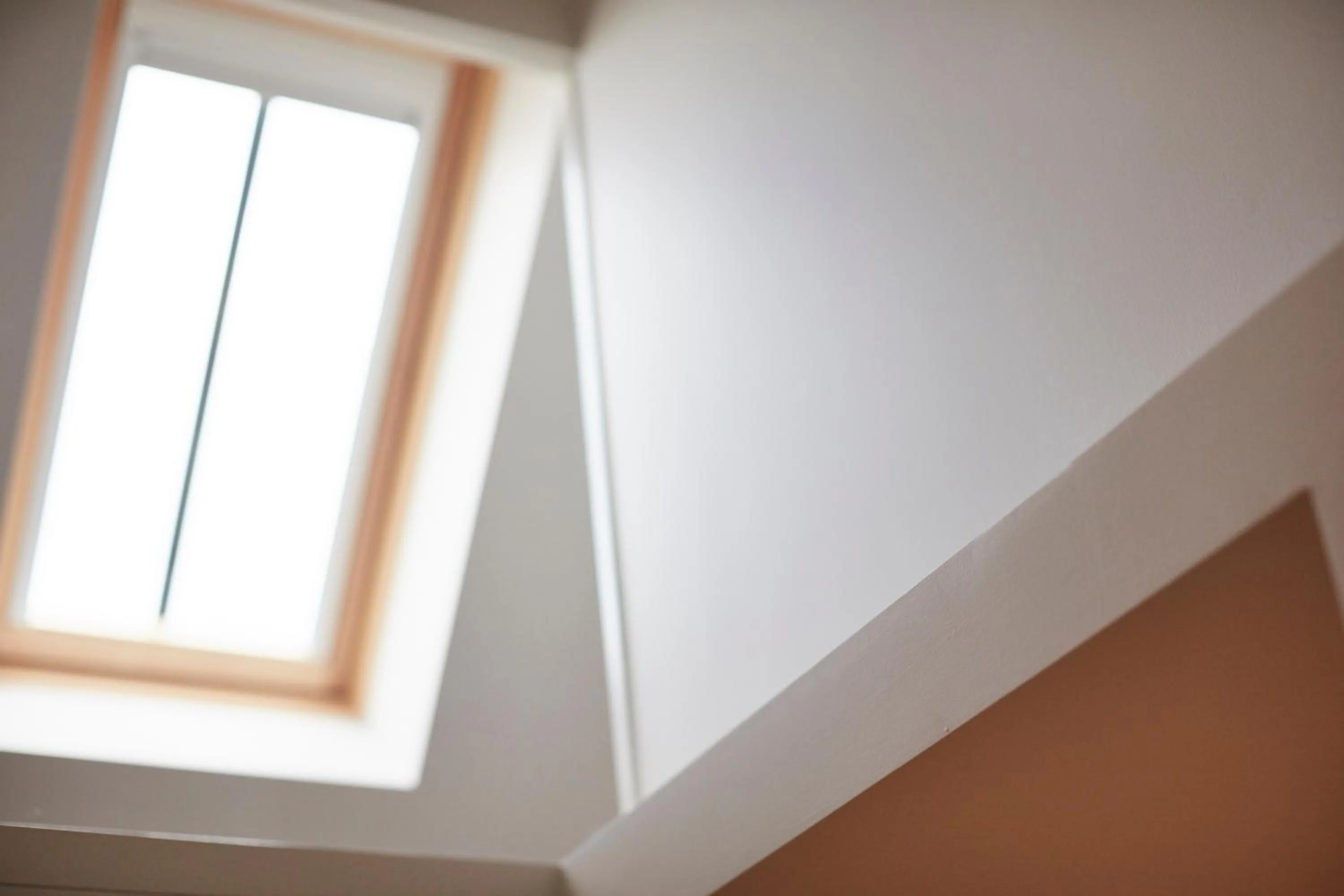 Day in B&B De Deugdzonde