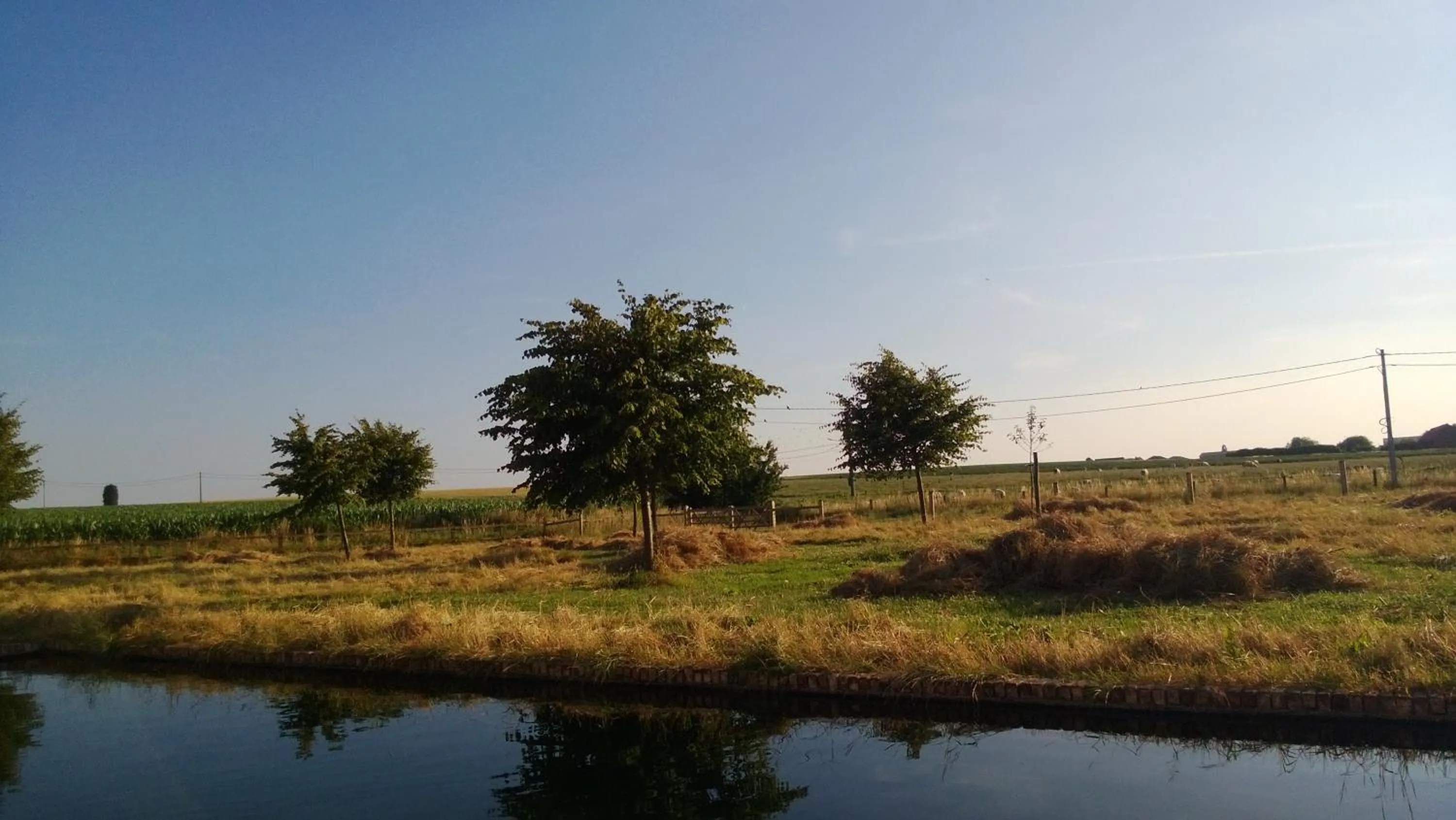 Summer in B&B De Deugdzonde