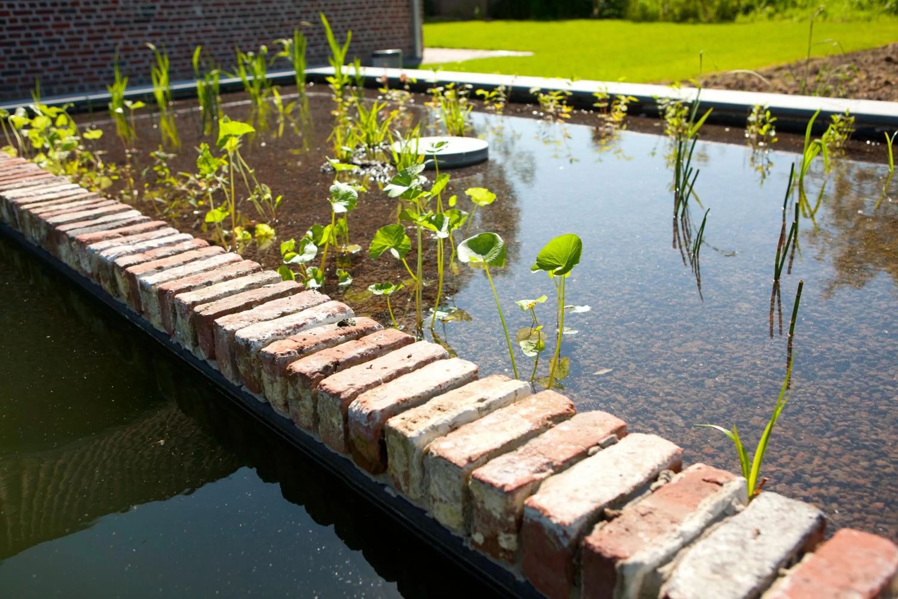 Day in B&B De Deugdzonde