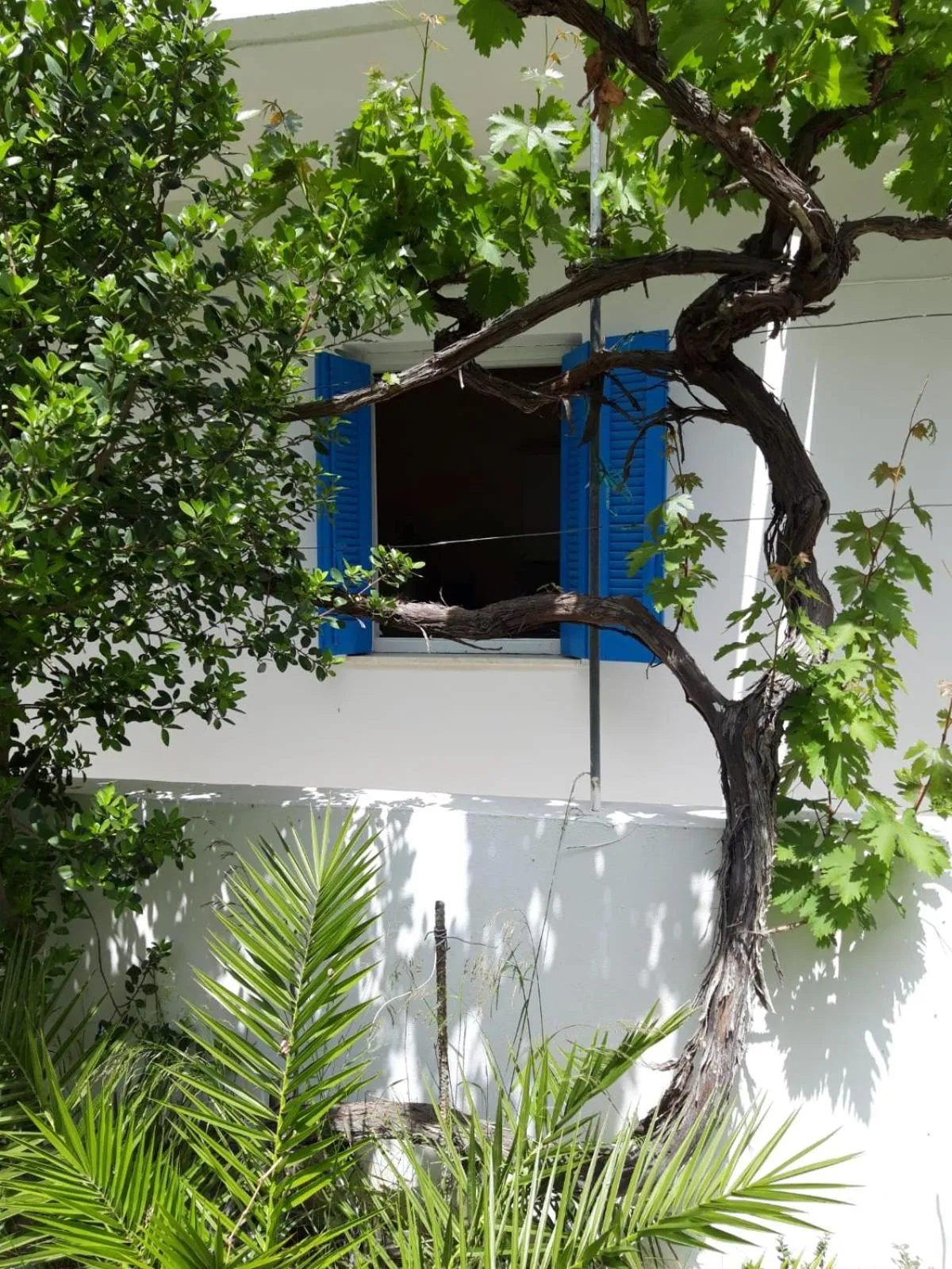 Property building in Hotel Neos Matala