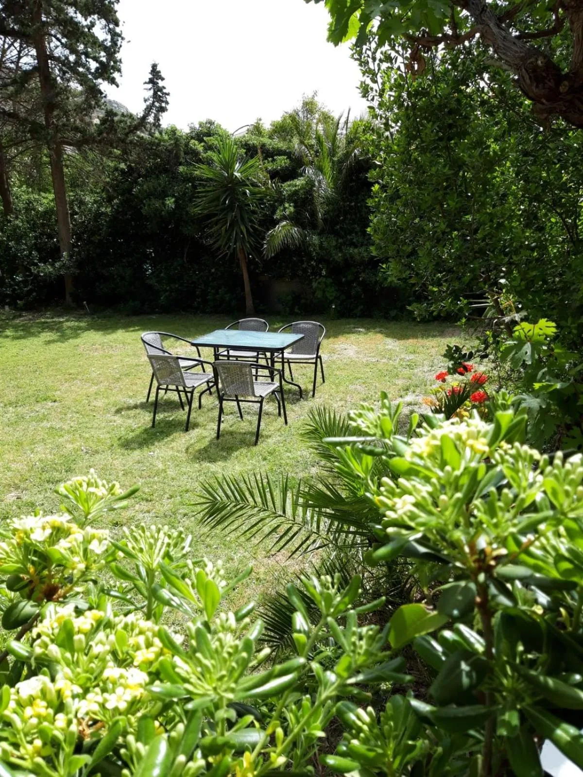 Garden in Hotel Neos Matala