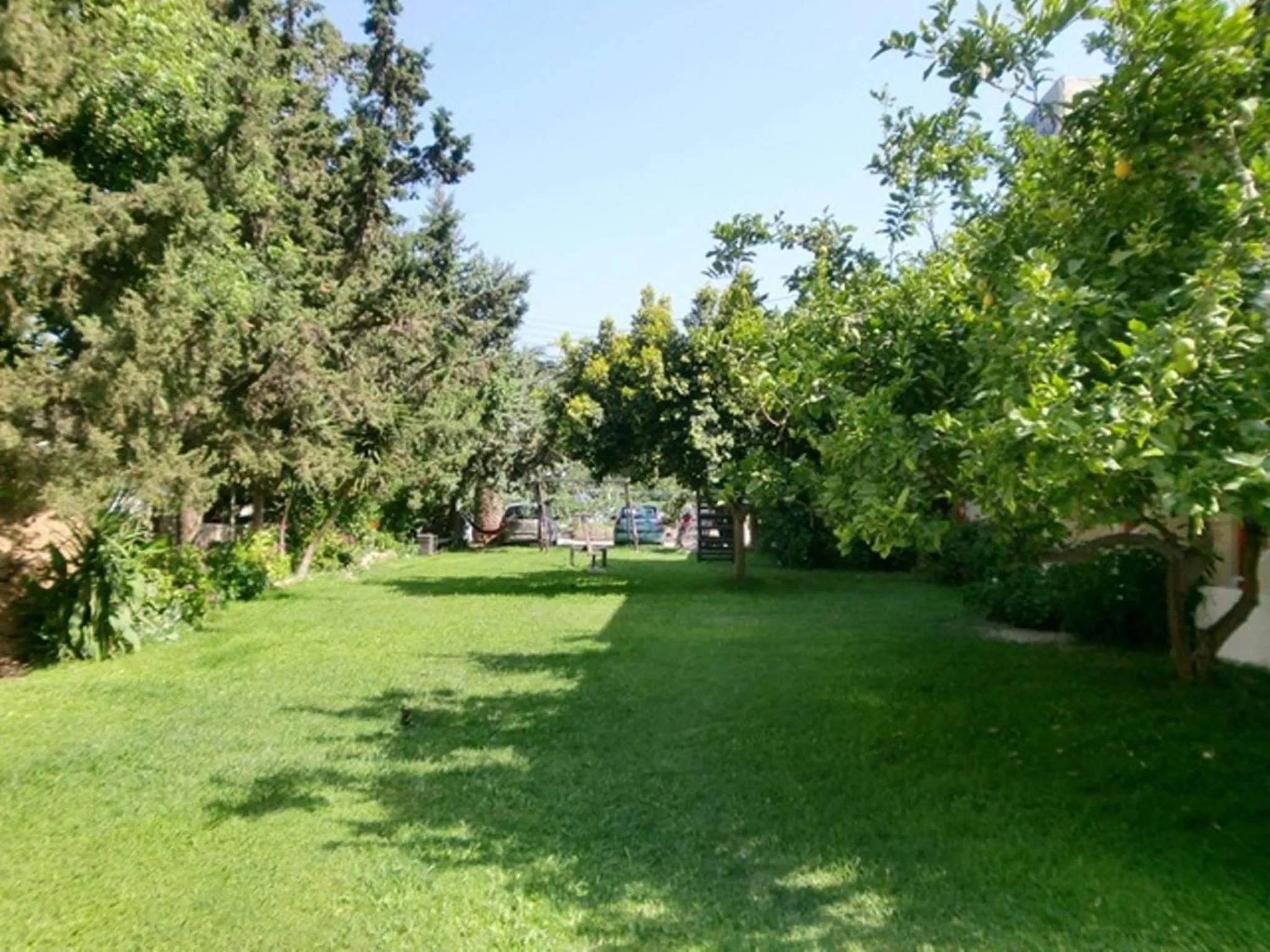 Garden in Hotel Neos Matala