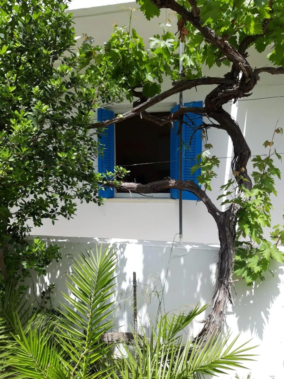 Facade/entrance in Hotel Neos Matala