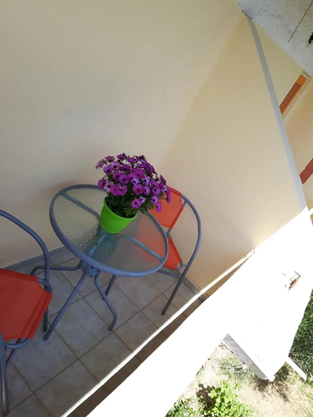 Balcony/Terrace in Hotel Neos Matala