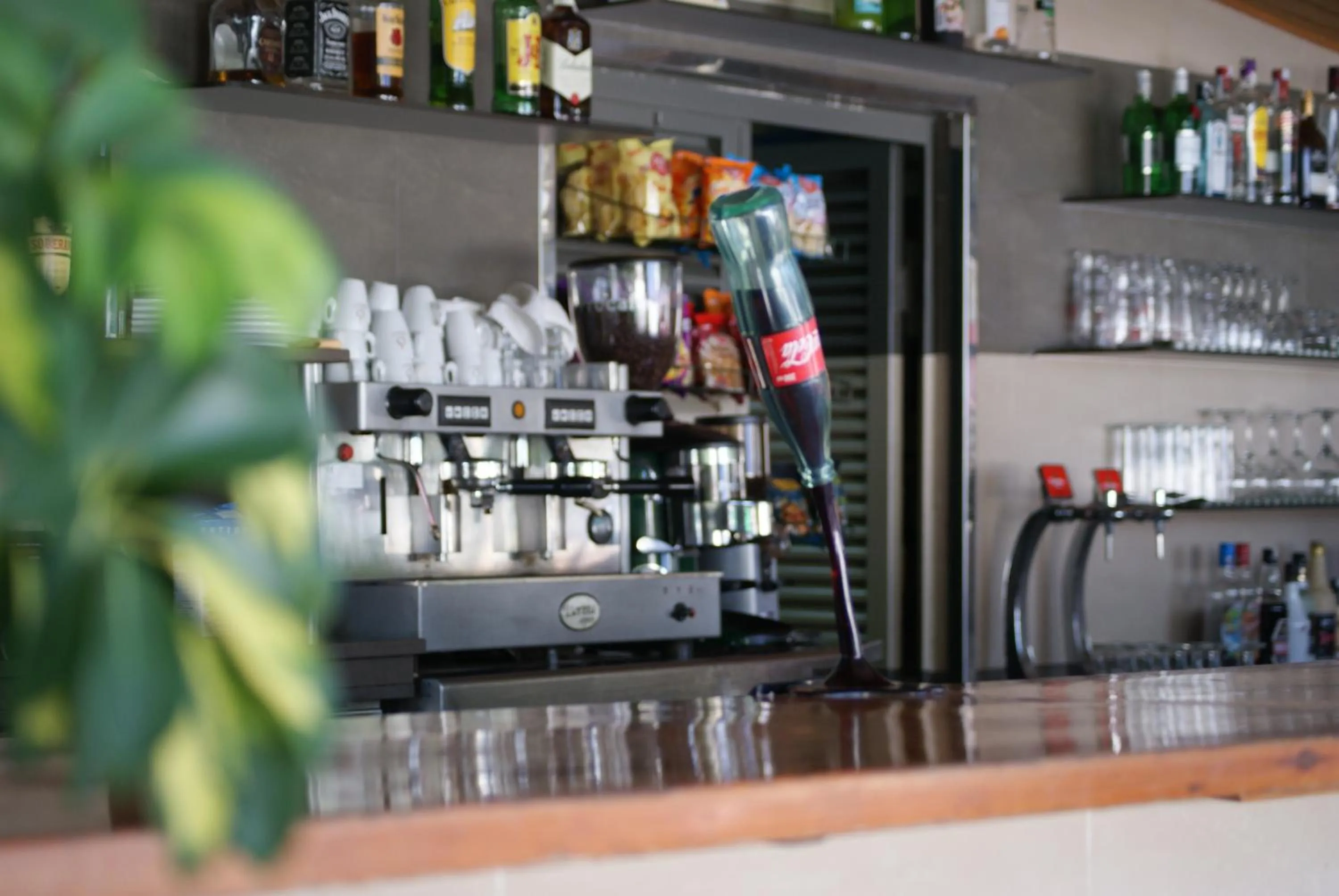 Area and facilities in Camping Playa y Fiesta