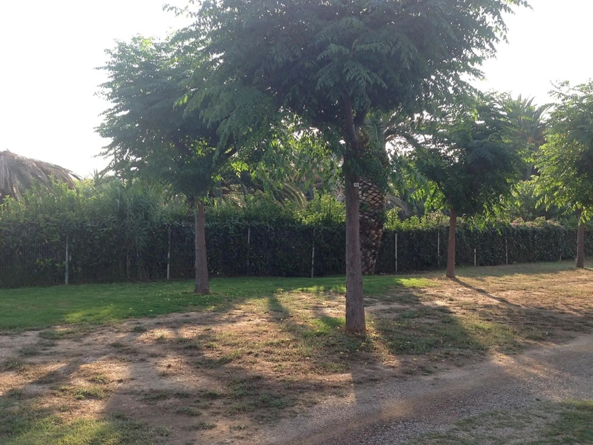 Area and facilities in Camping Playa y Fiesta