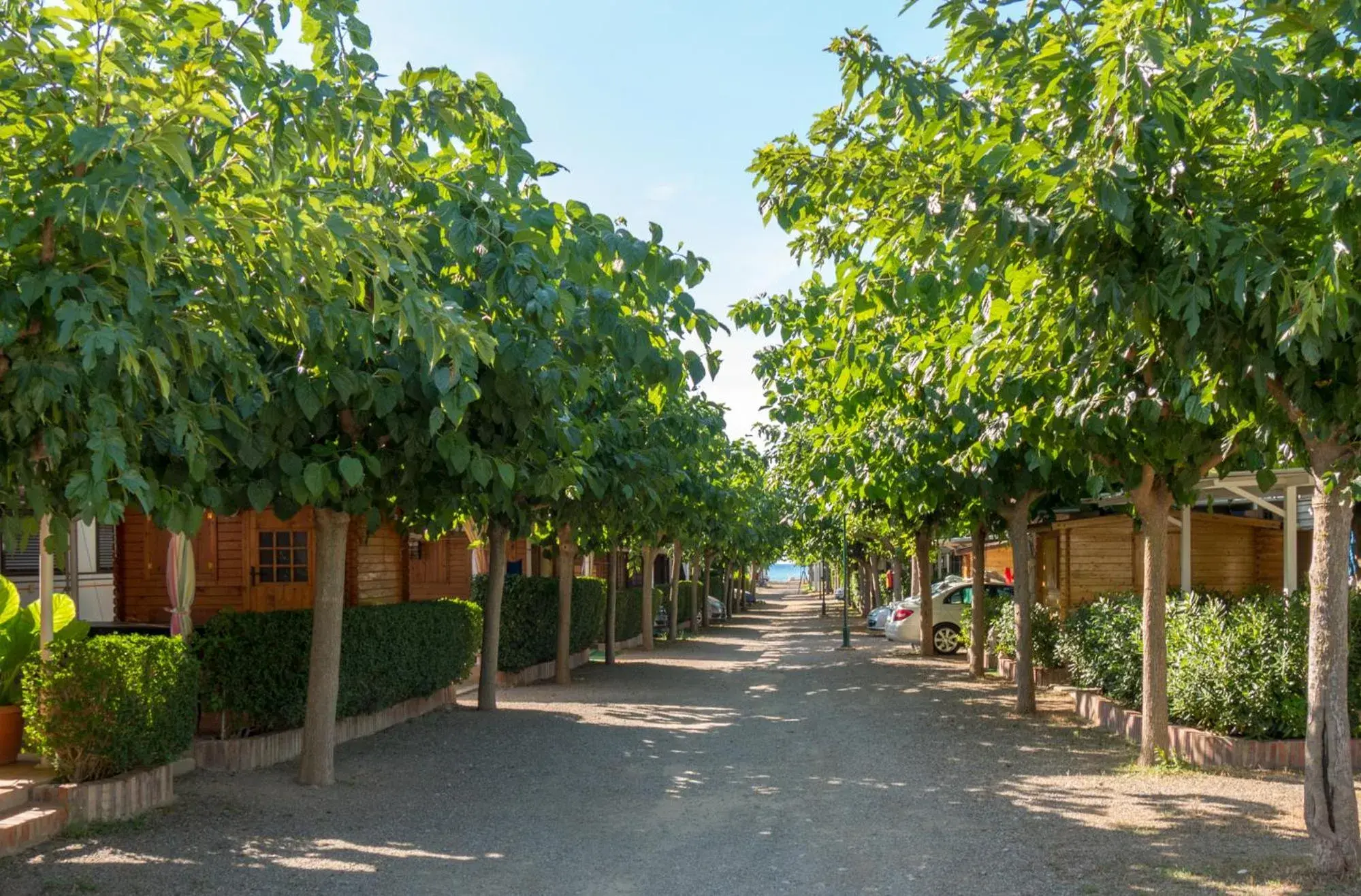 Street view in Camping Playa y Fiesta Street view in Camping Playa y Fiesta