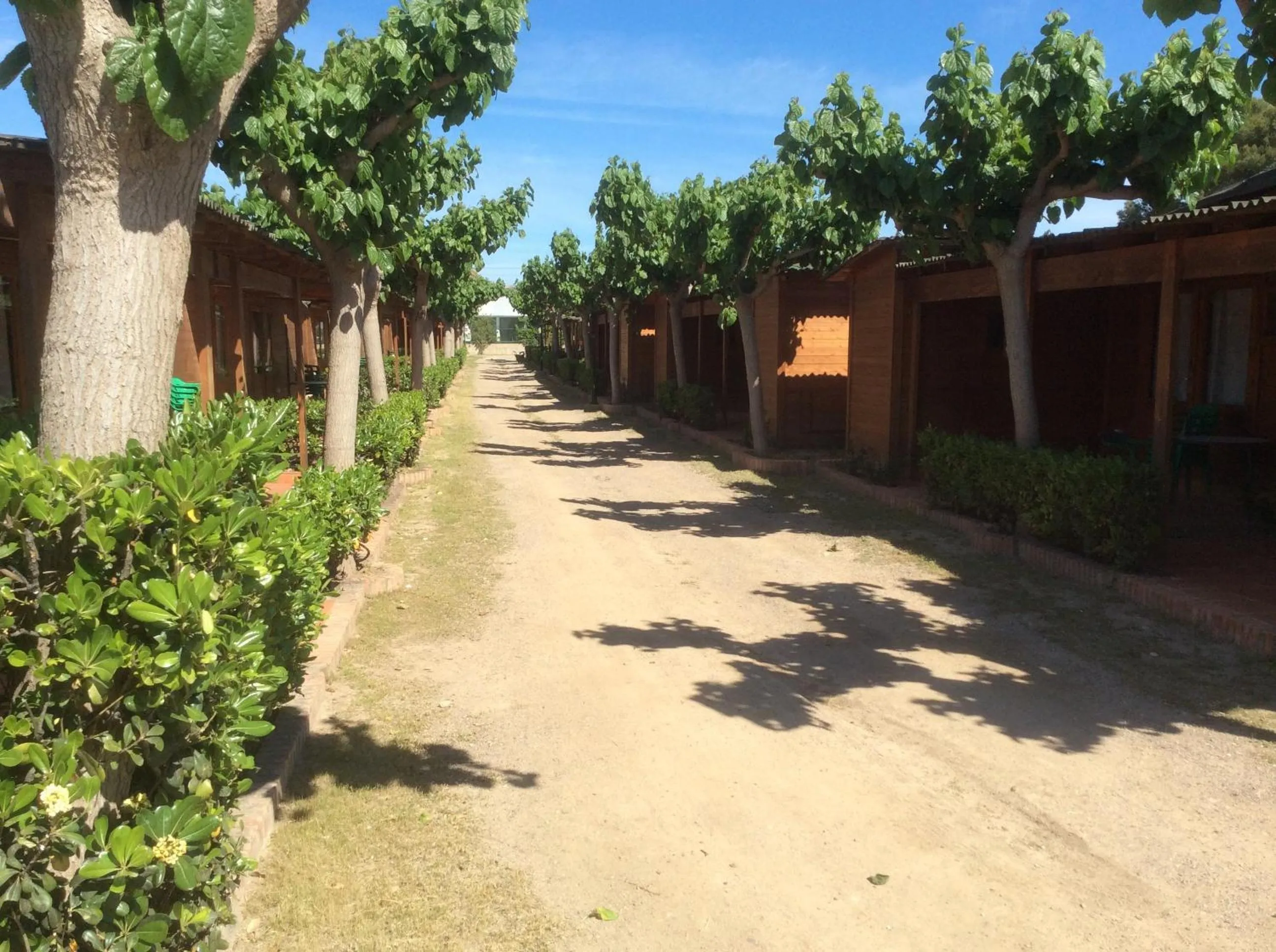 View (from property/room) in Camping Playa y Fiesta