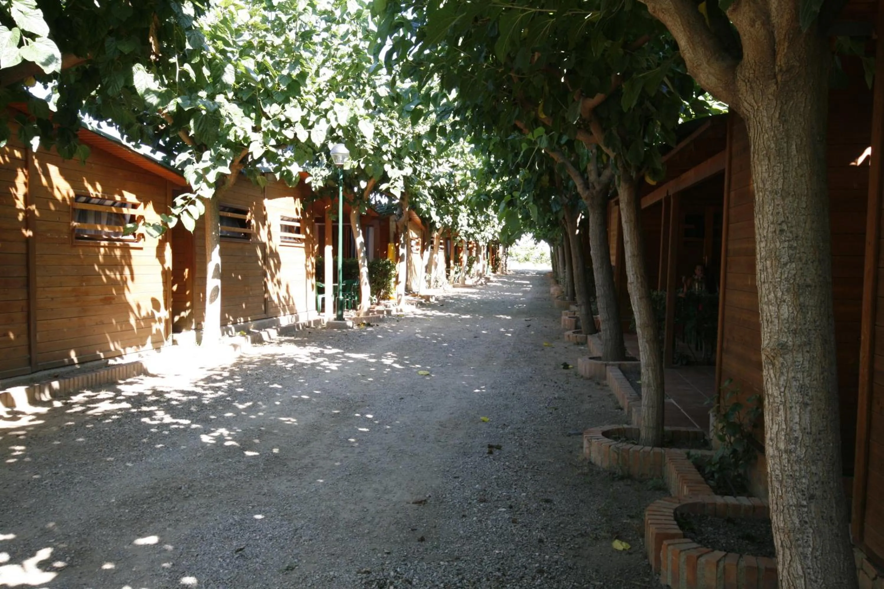 Area and facilities in Camping Playa y Fiesta