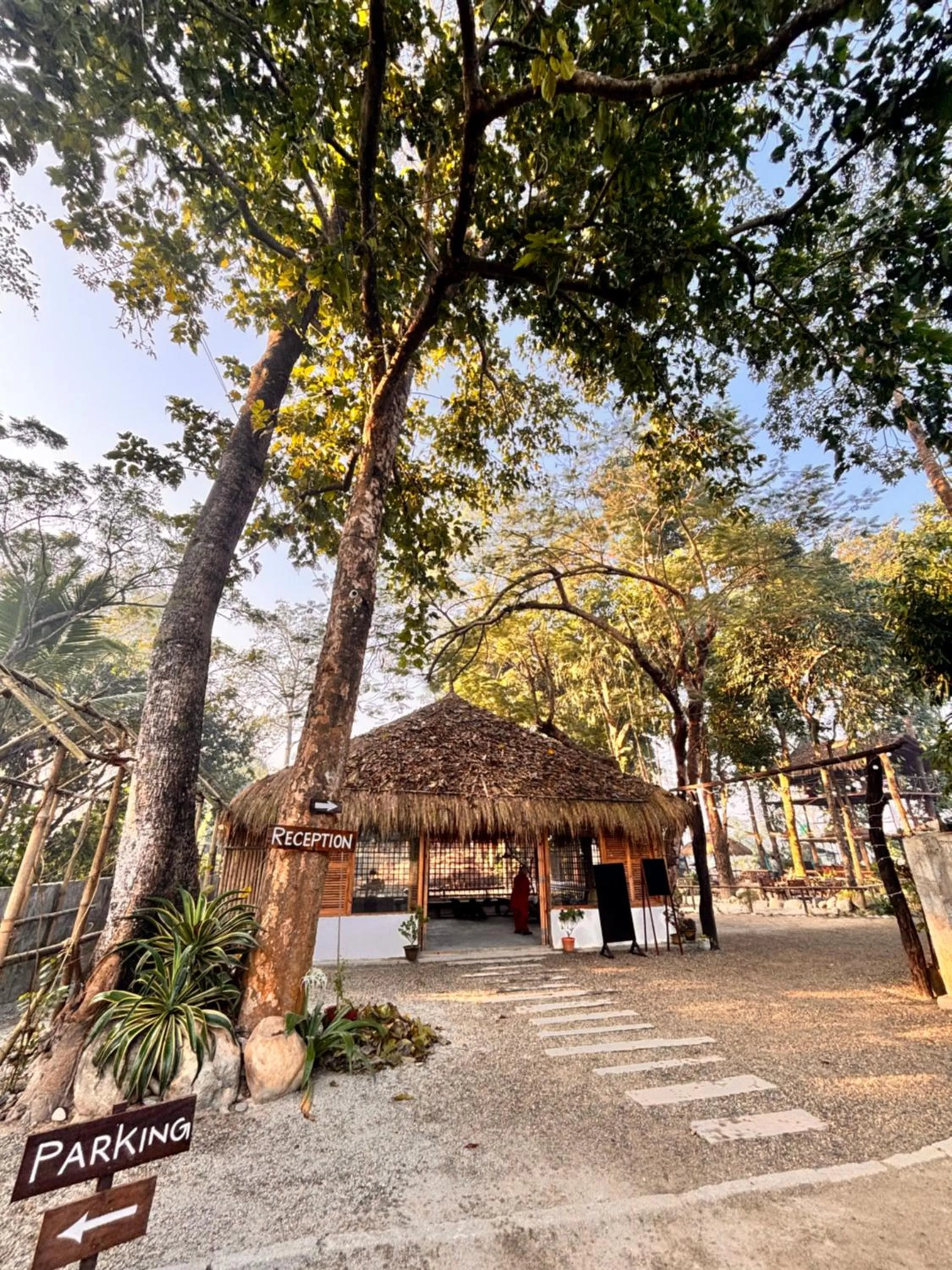 Happy Lemon Tree lodge