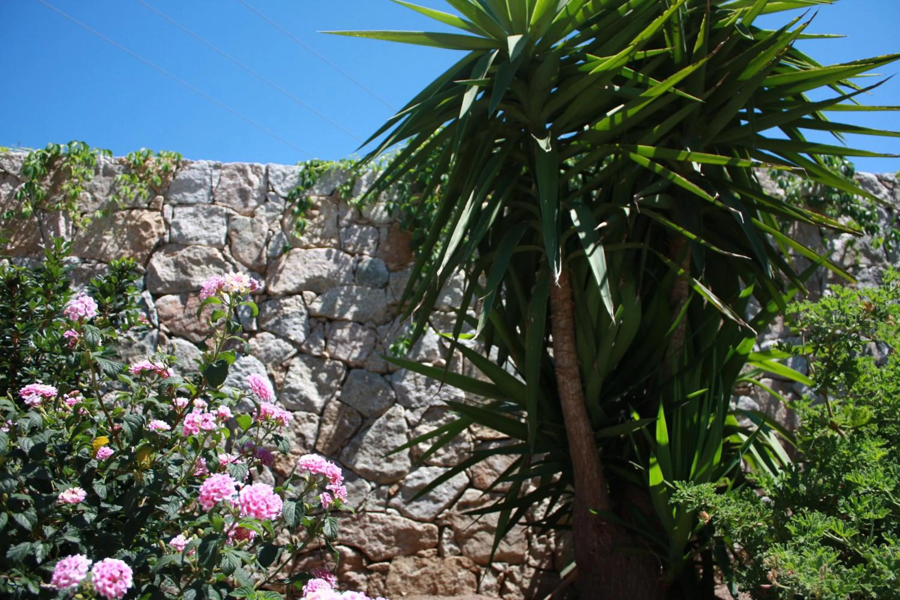 Other in Hôtel et Résidence Benista